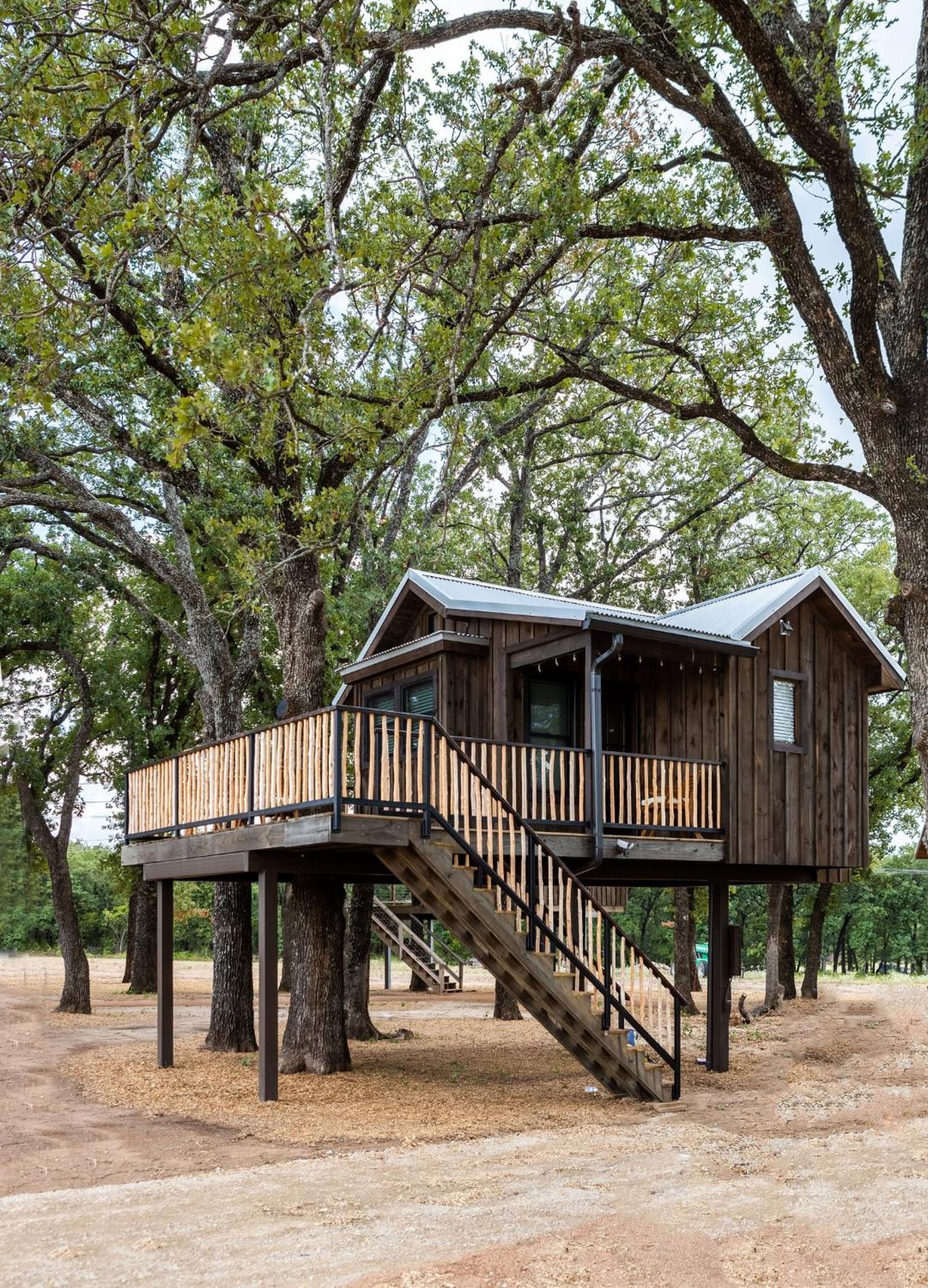 Cedar Waxwing Treehouse15 MIN to MagnoliaBaylor