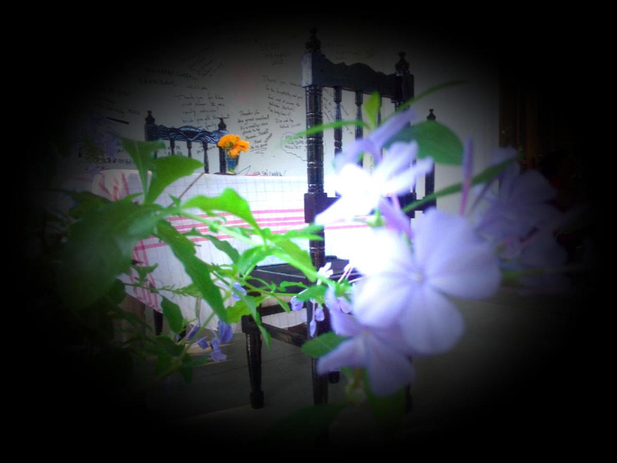 Photo 28