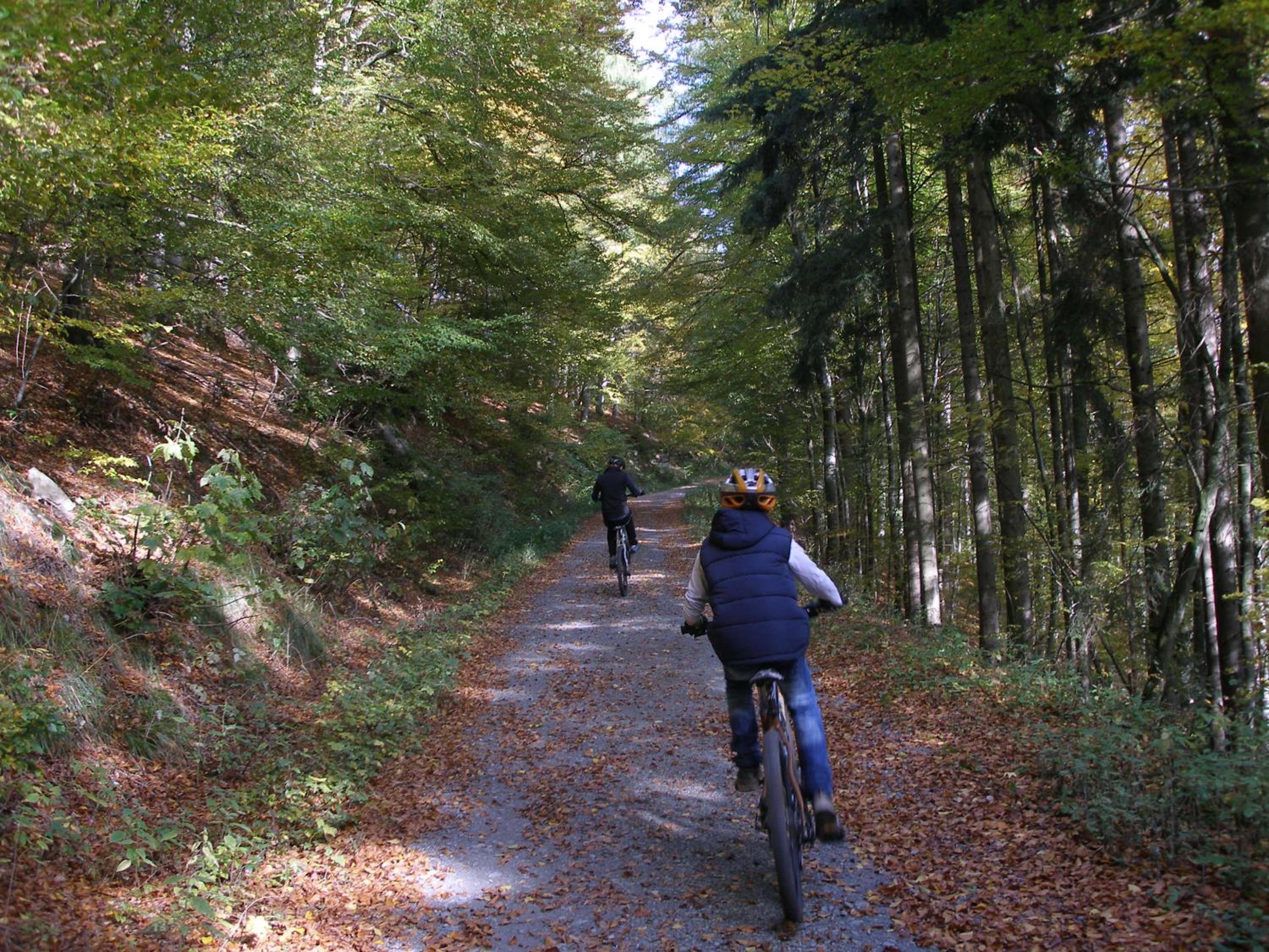 Pension Haus Waldfrieden, MeineCardPlus inklusive