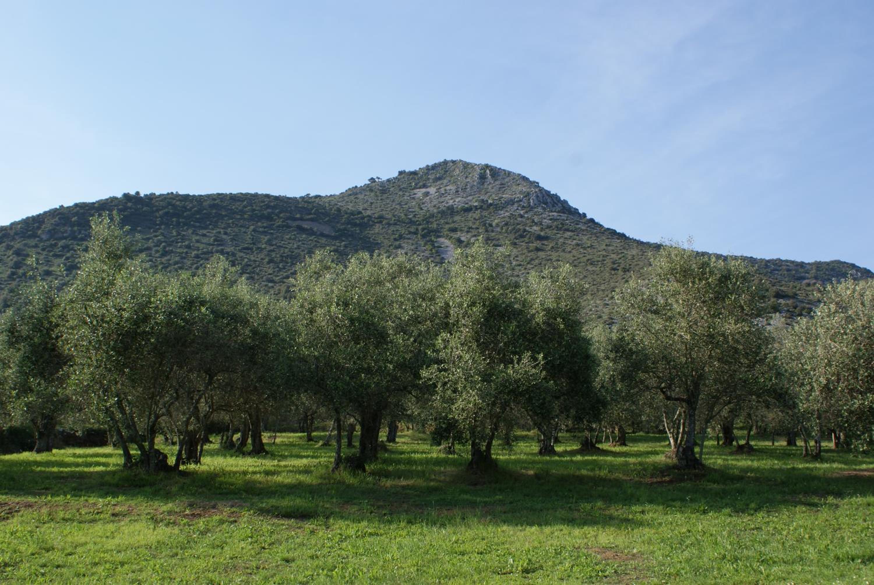 Villa Rinascimento Depandance