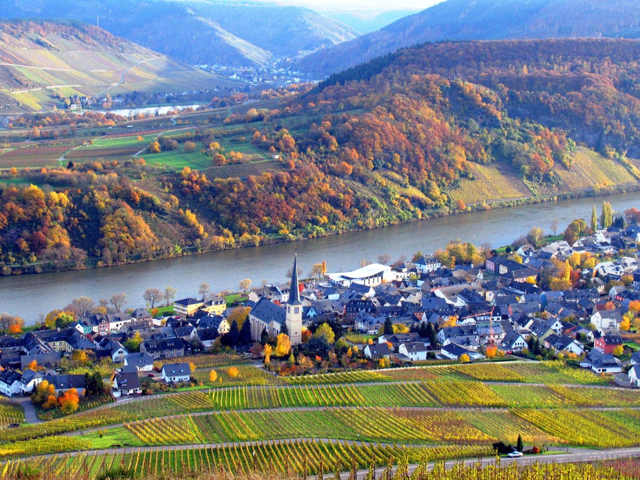 Ferienweingut Rainer Beitzel