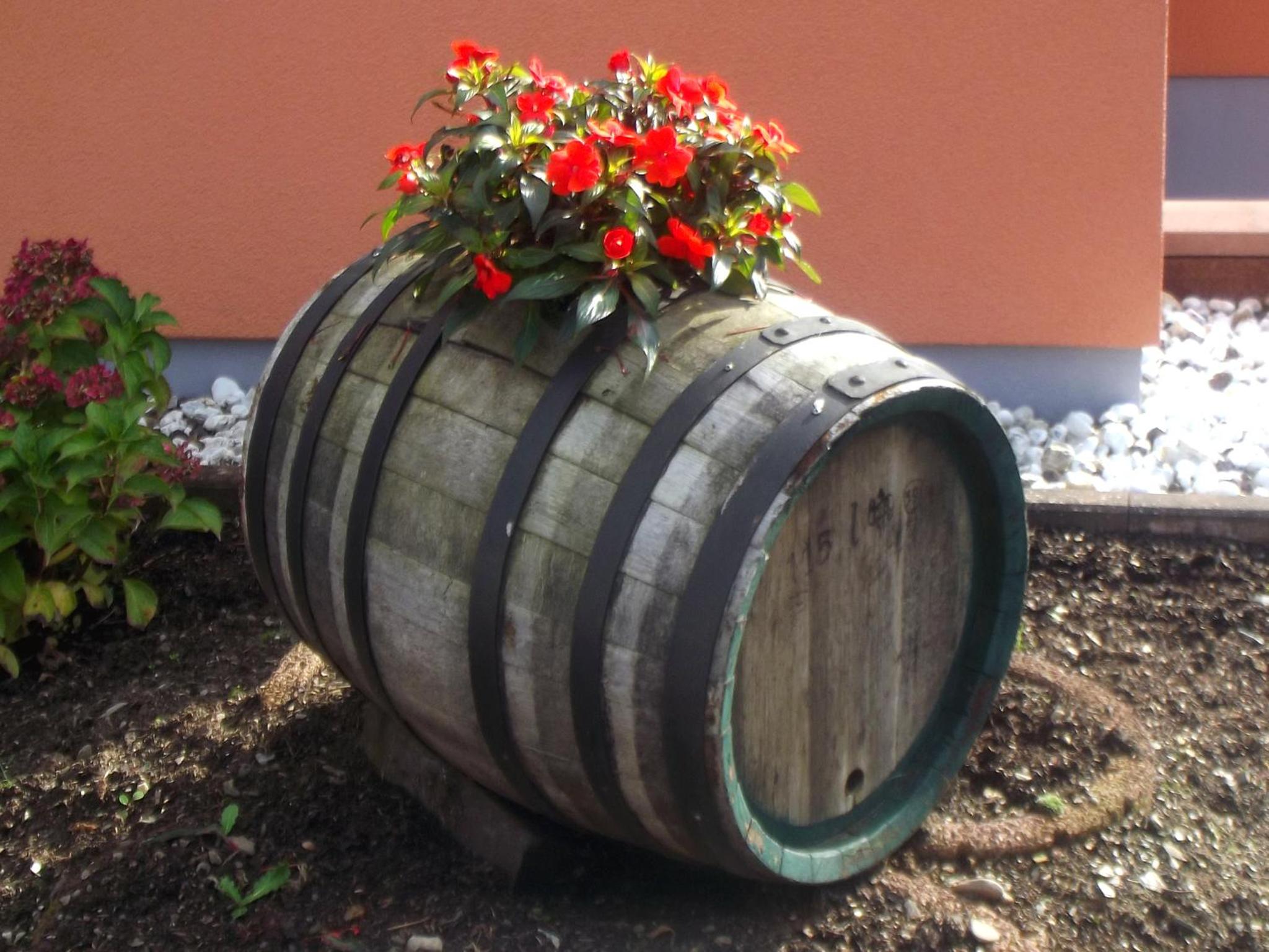 Ferienweingut Rainer Beitzel