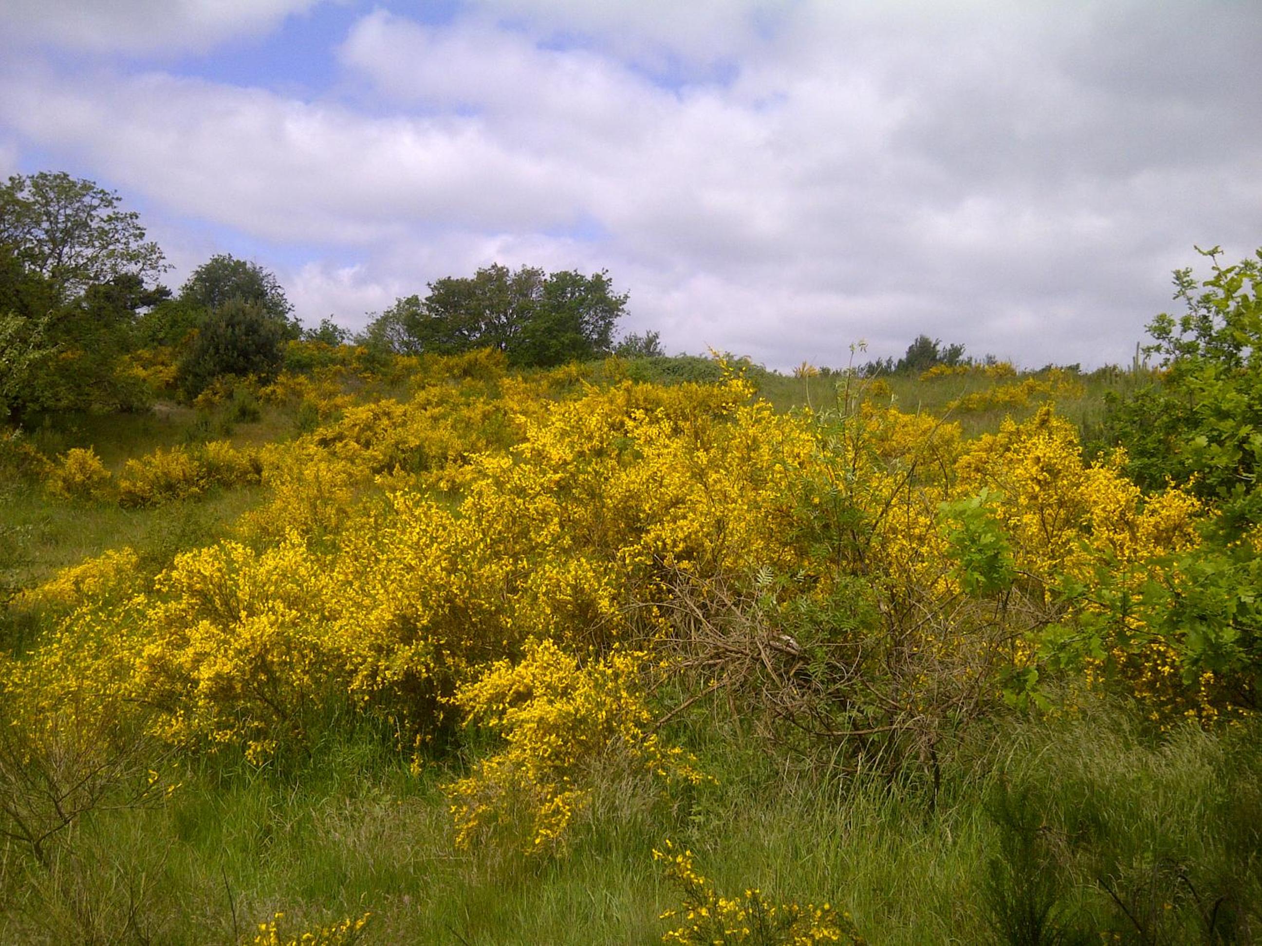 Photo 44