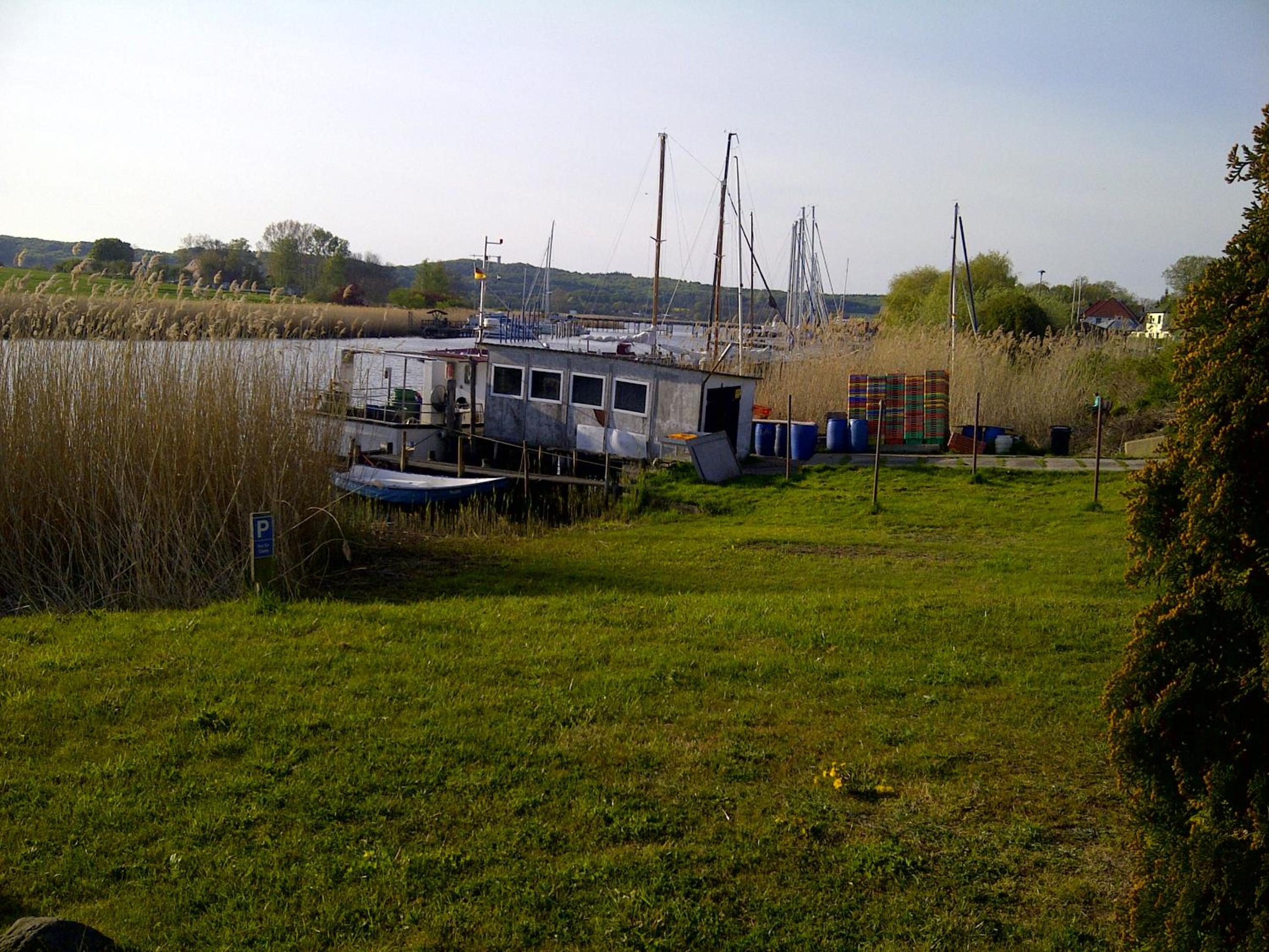 Photo 42
