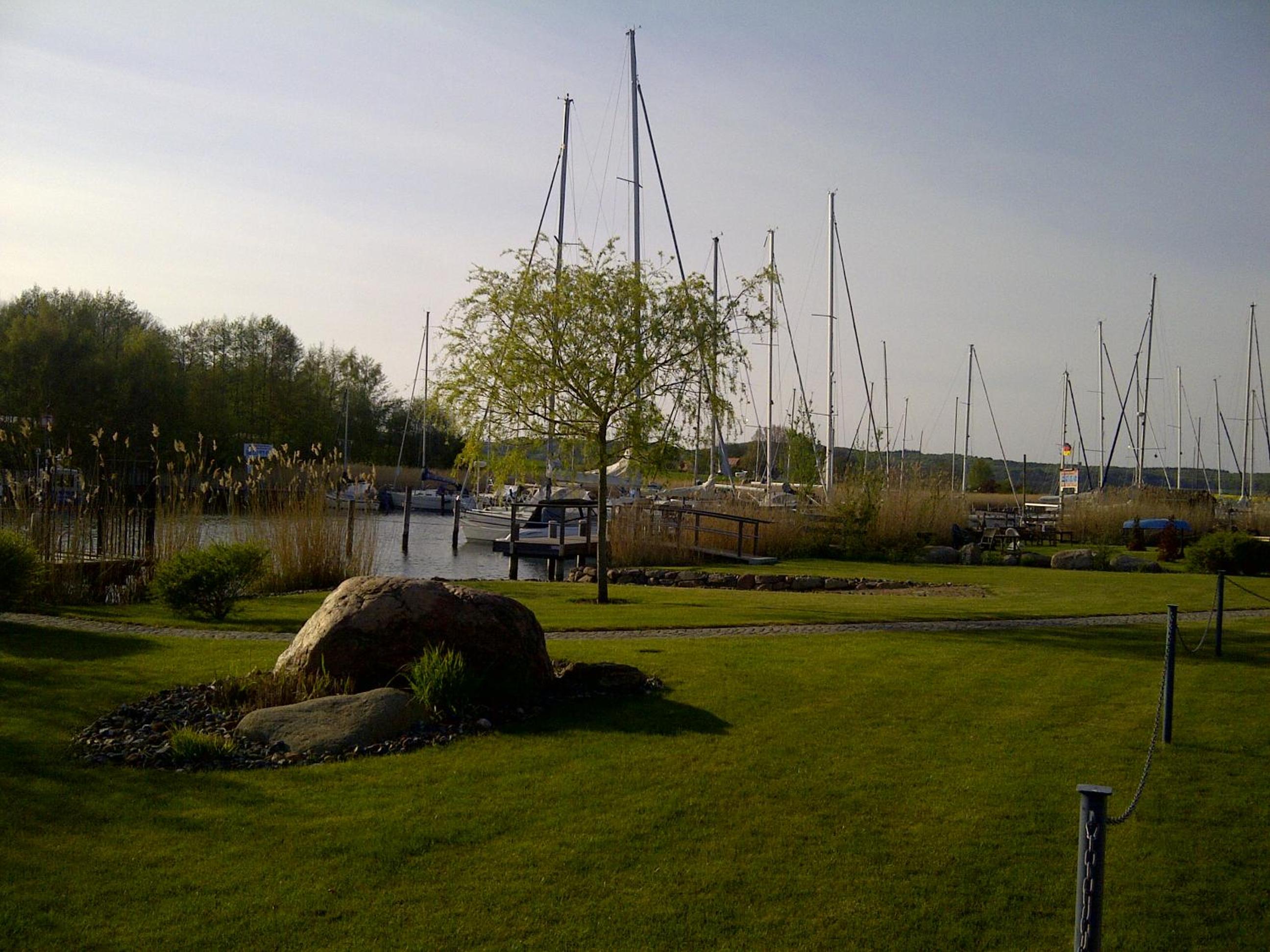 Photo 41