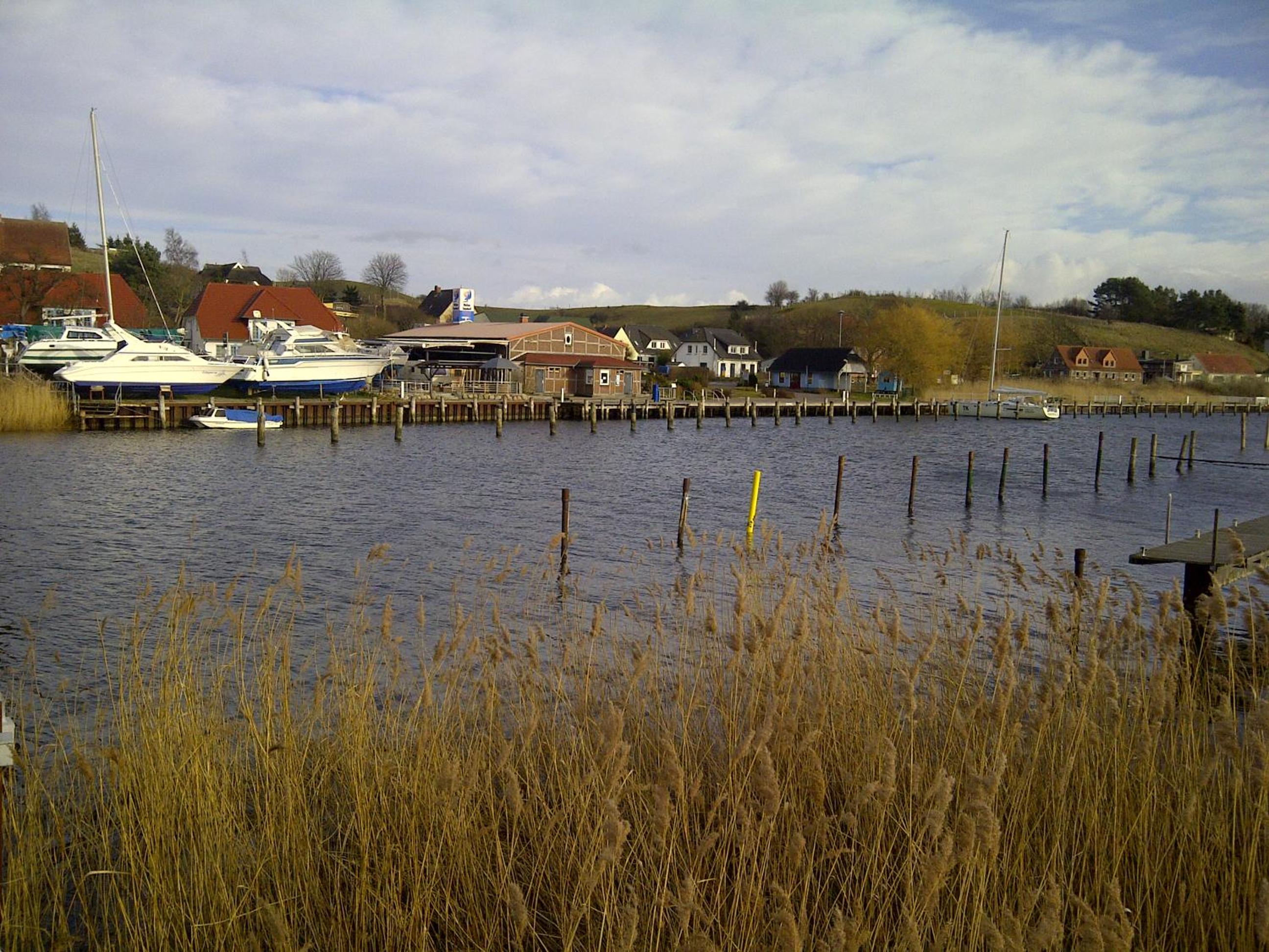 Photo 40
