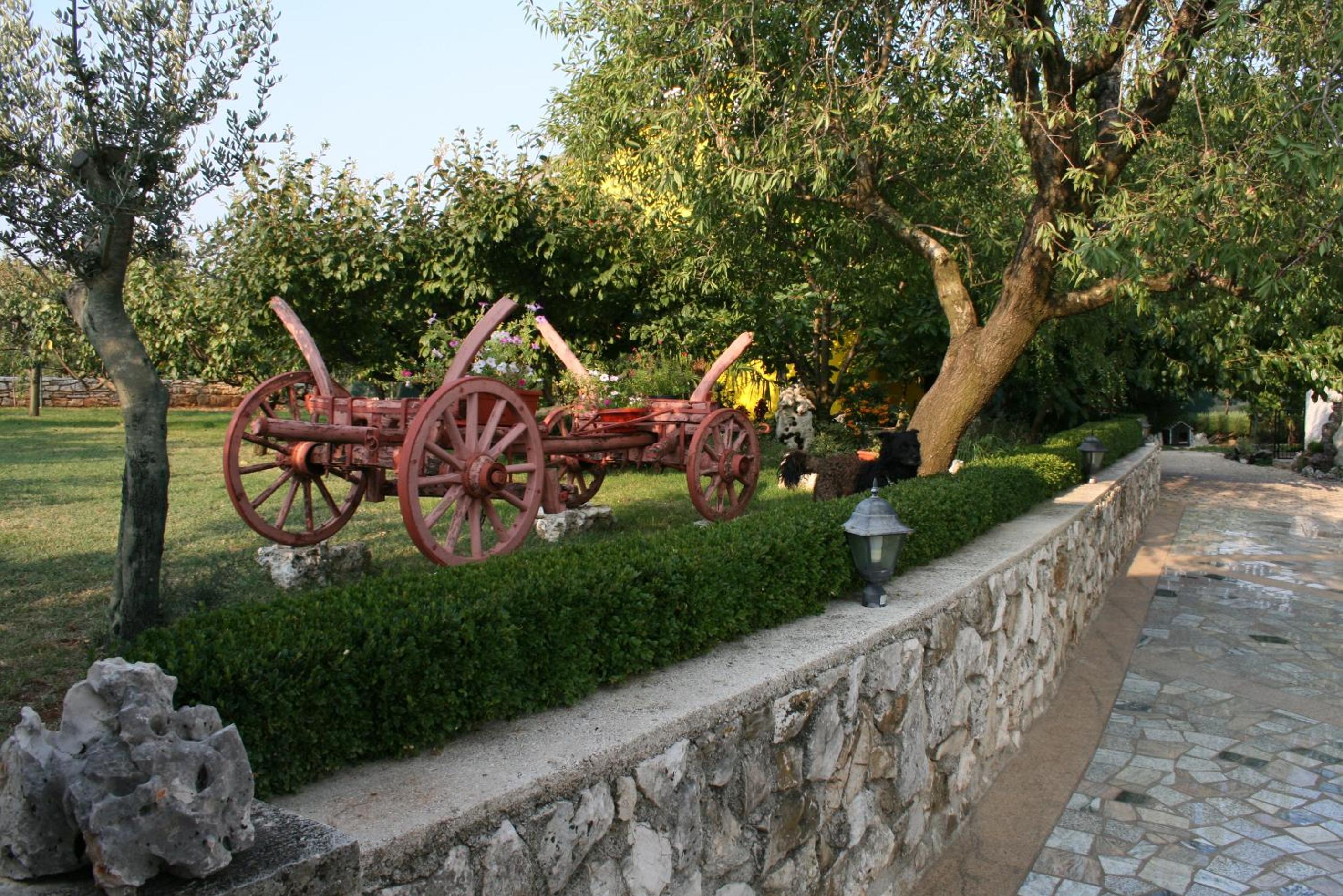 Photo 15