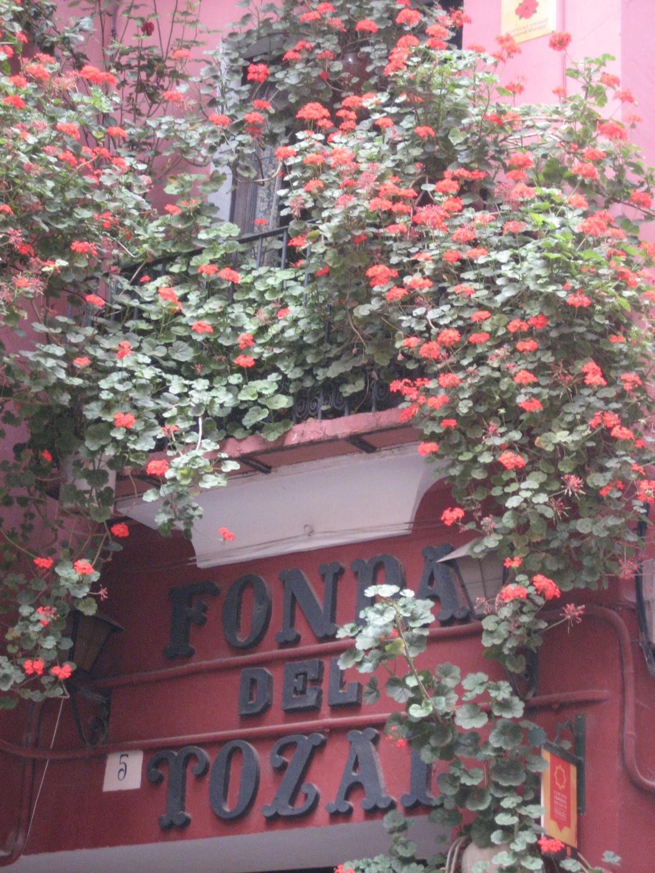 Fonda Del Tozal view 2