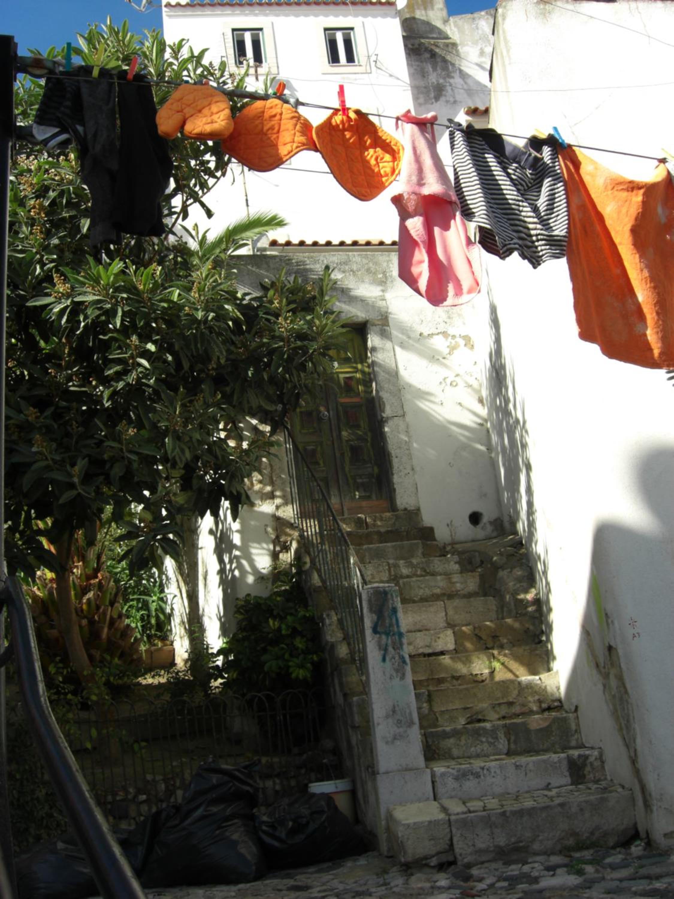 Photo 31
