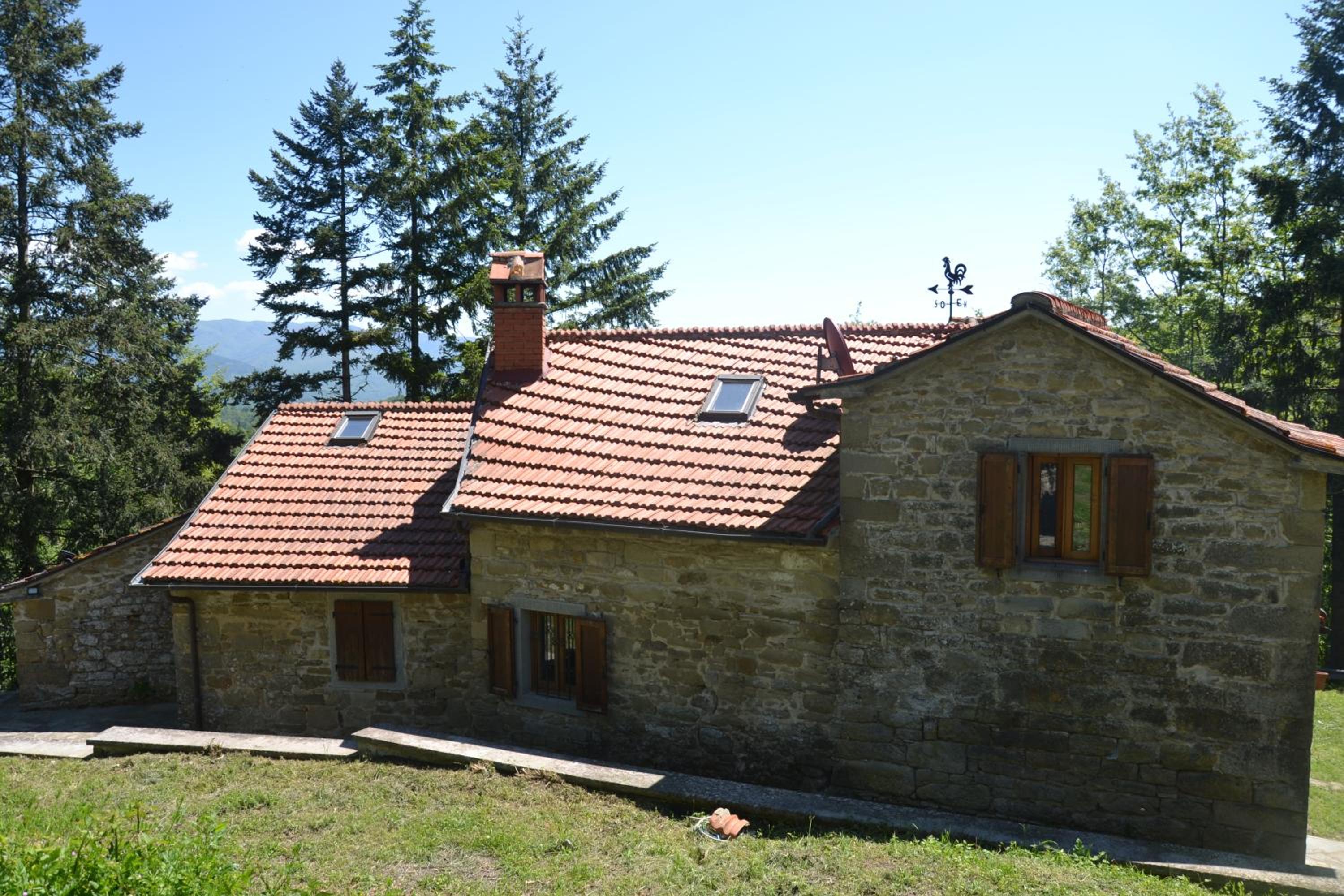 Photo 25