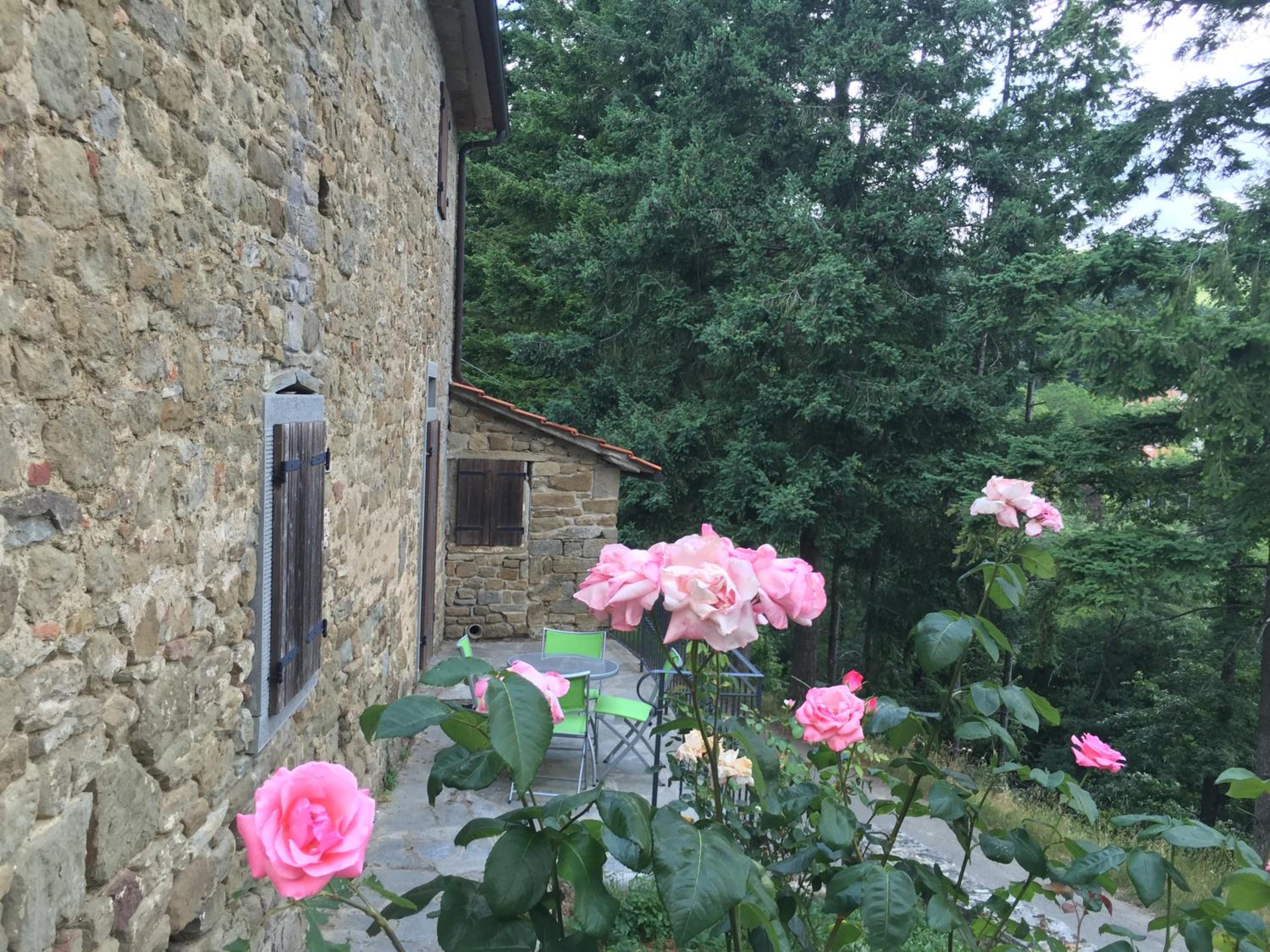 Photo 26