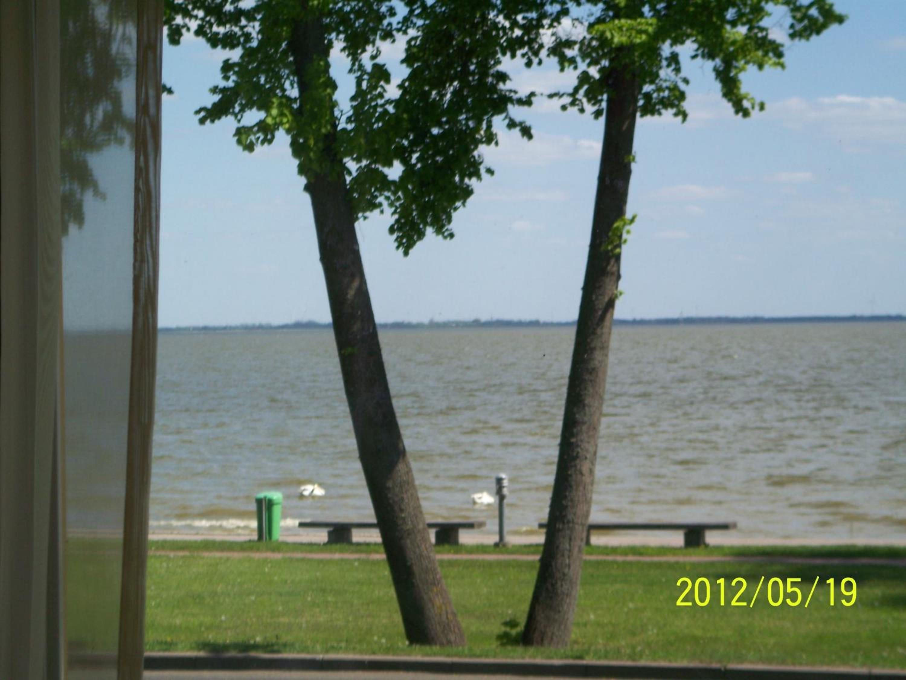 Photo 29