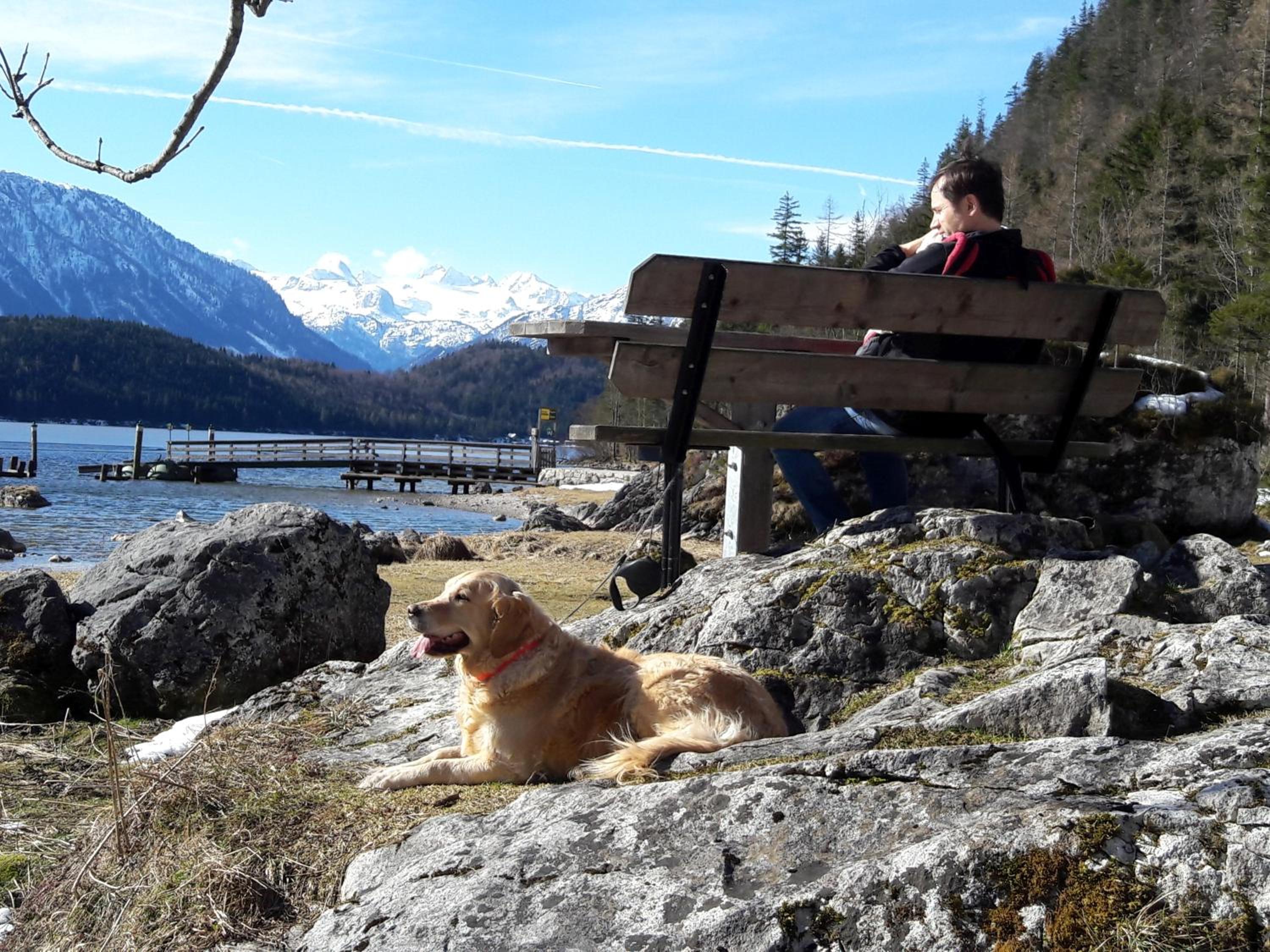 Haus Galler - Urlaub am Bauernhof