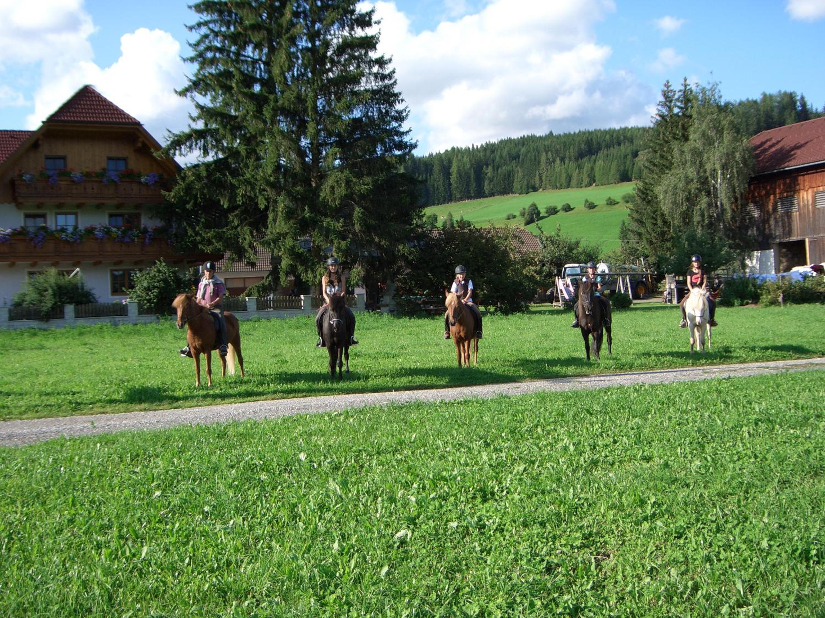 Bio Bauernhof Schoberhof