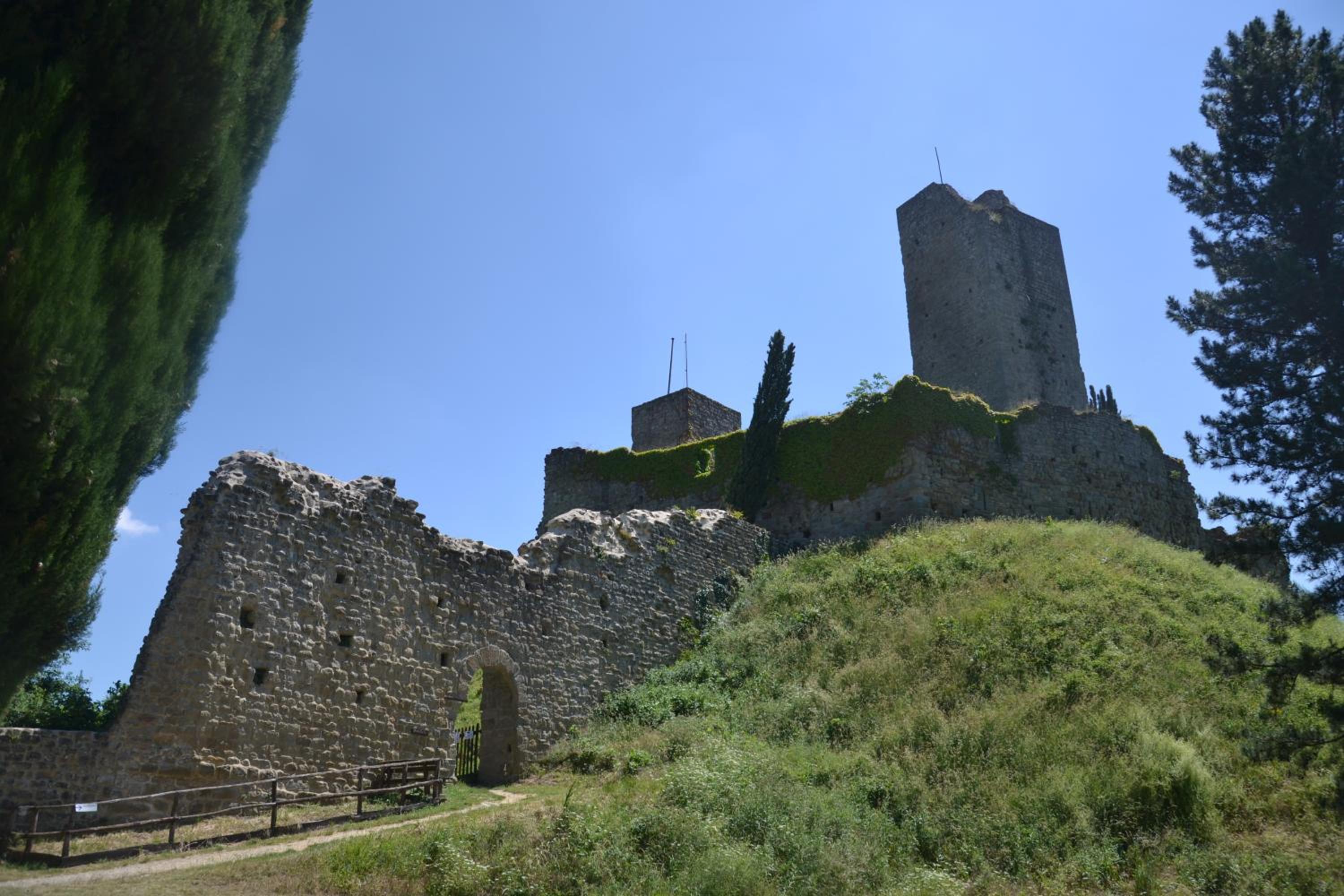 Photo 43
