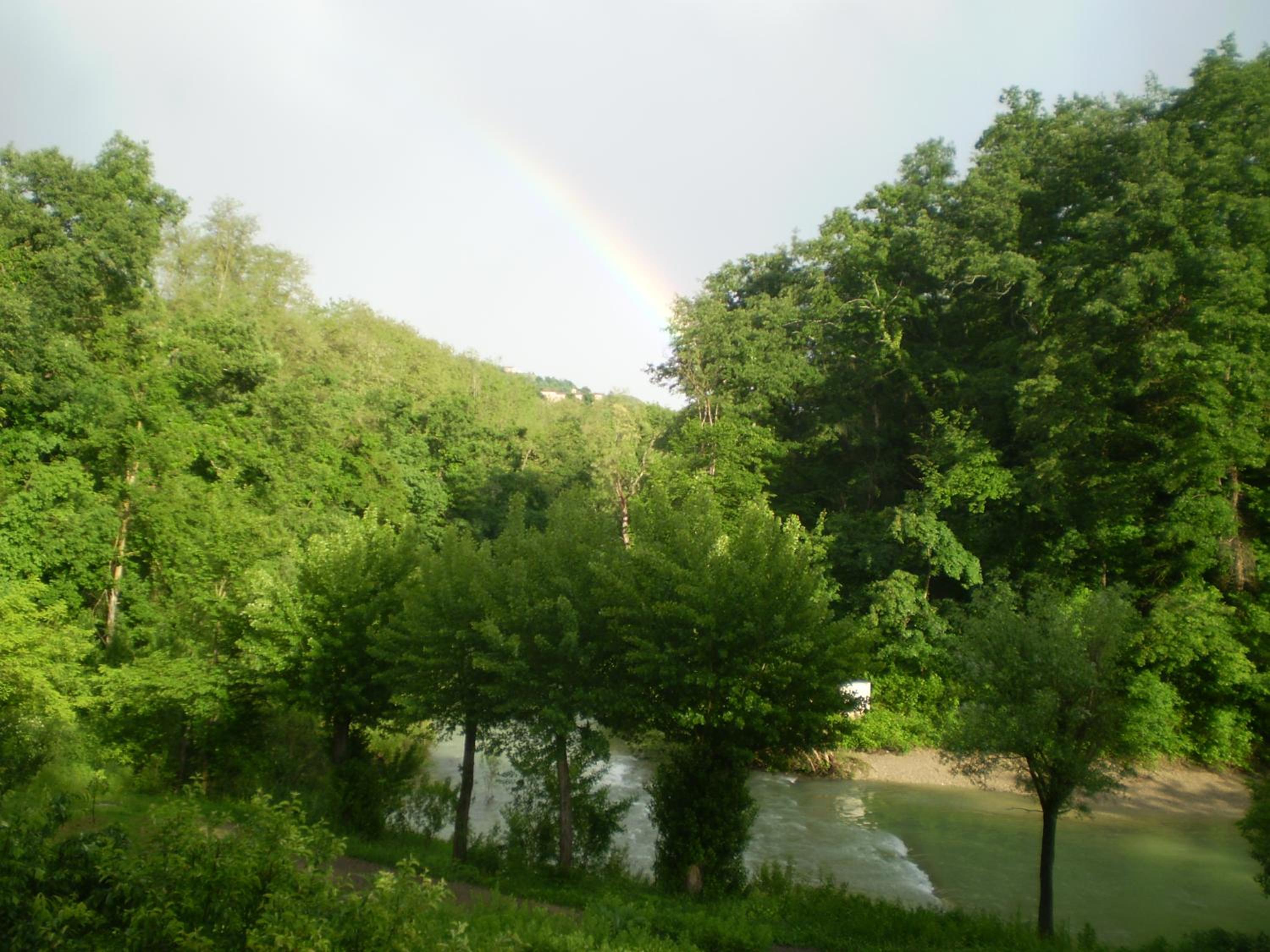 Photo 40