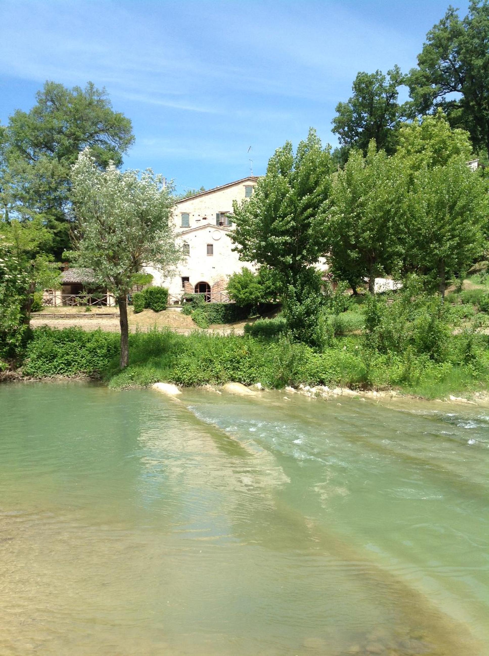Photo 43