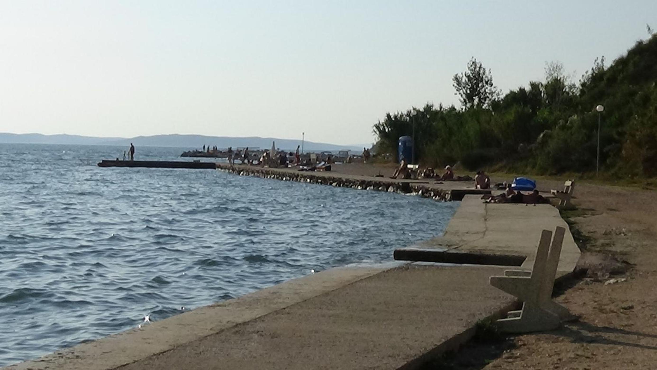 Photo 44