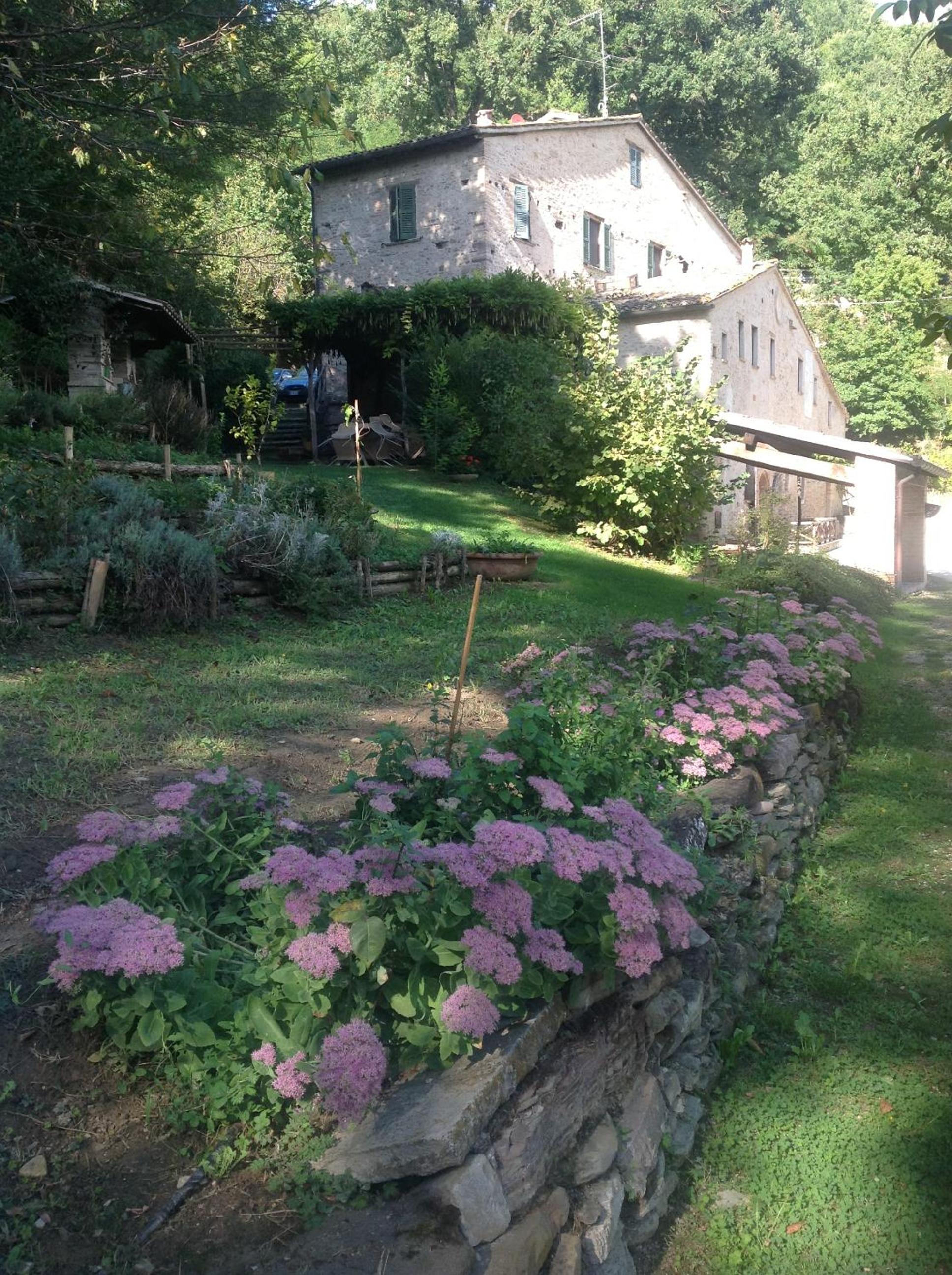 Photo 28