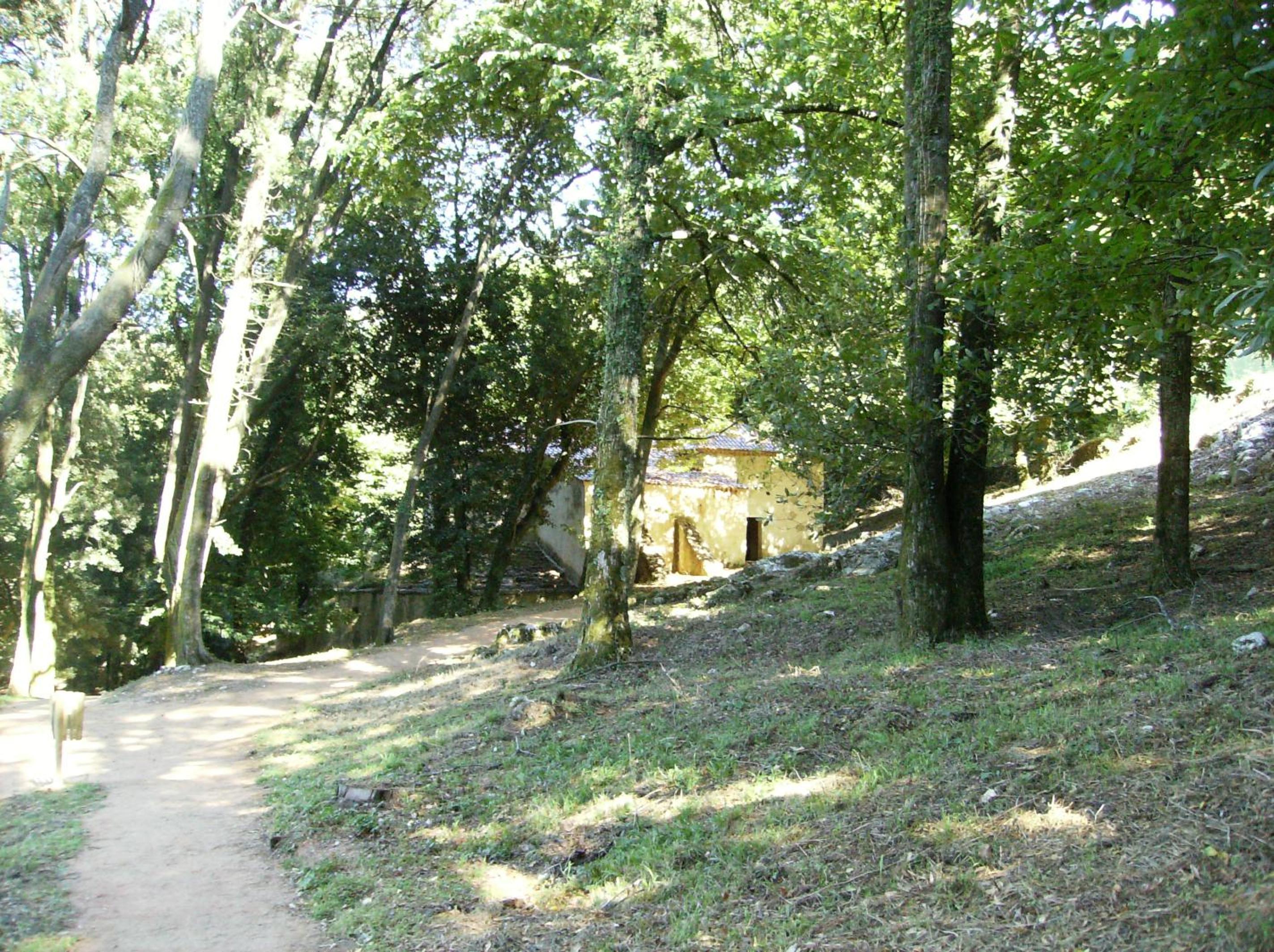 Photo 30