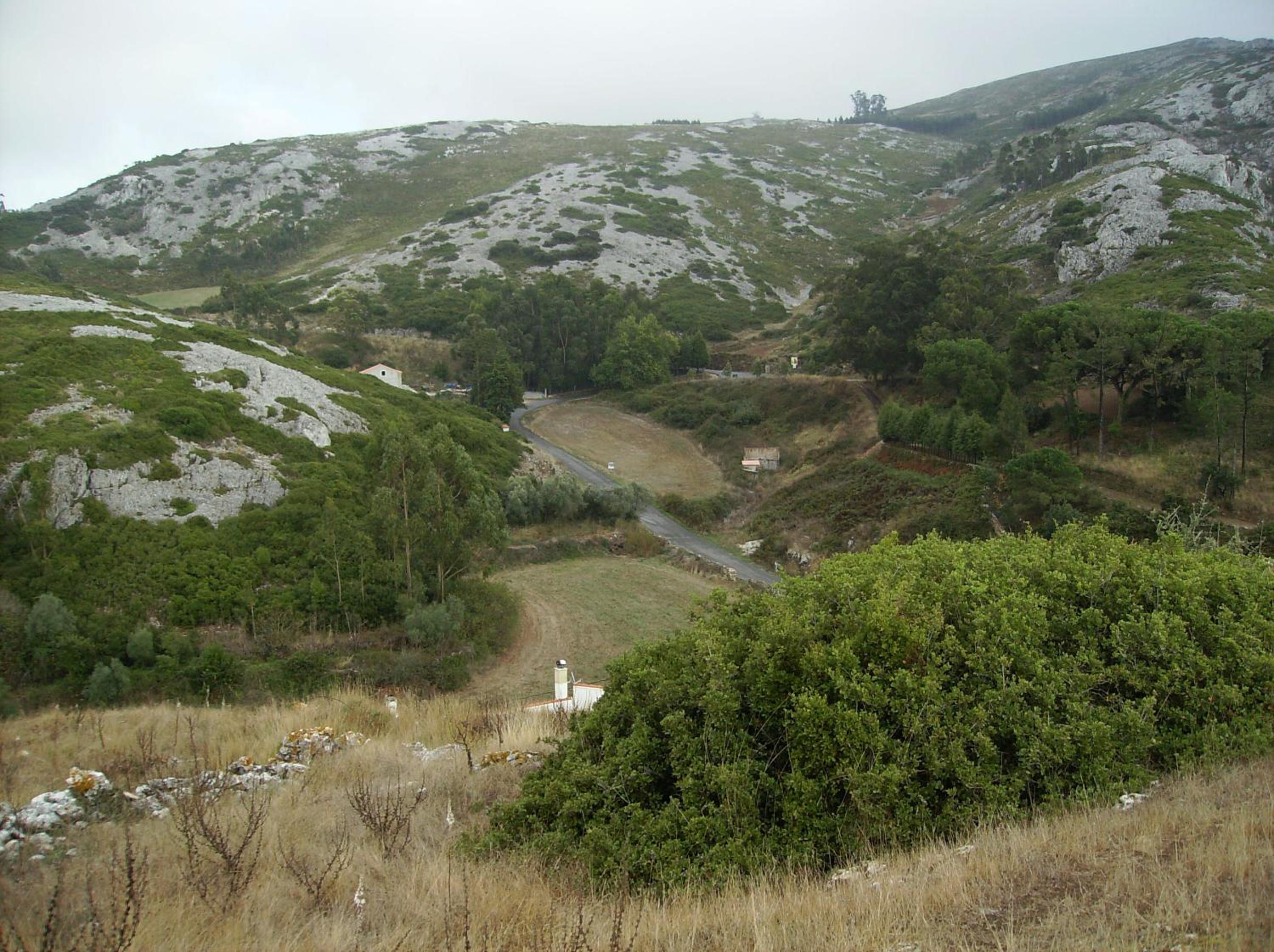Photo 27