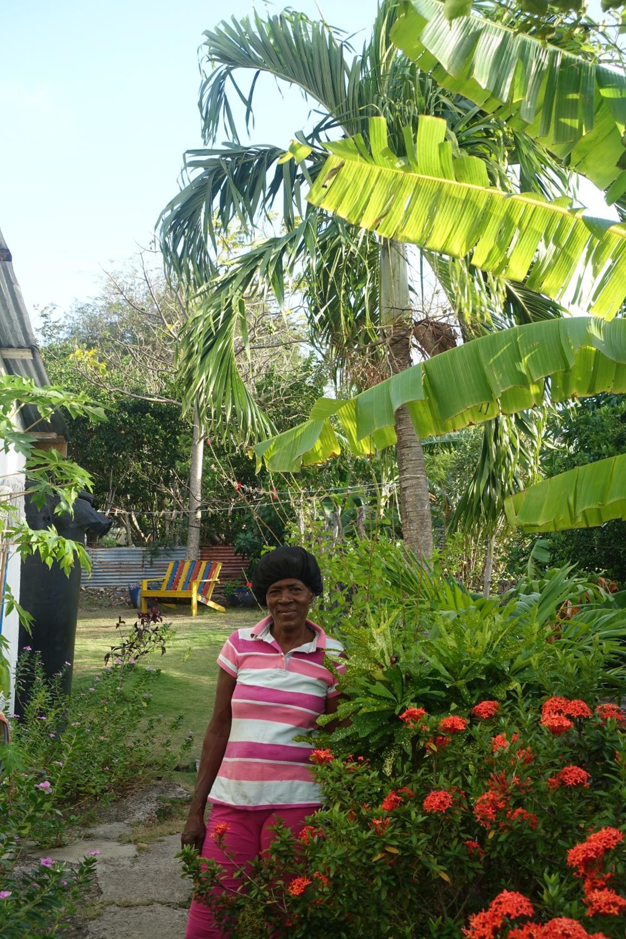 garden