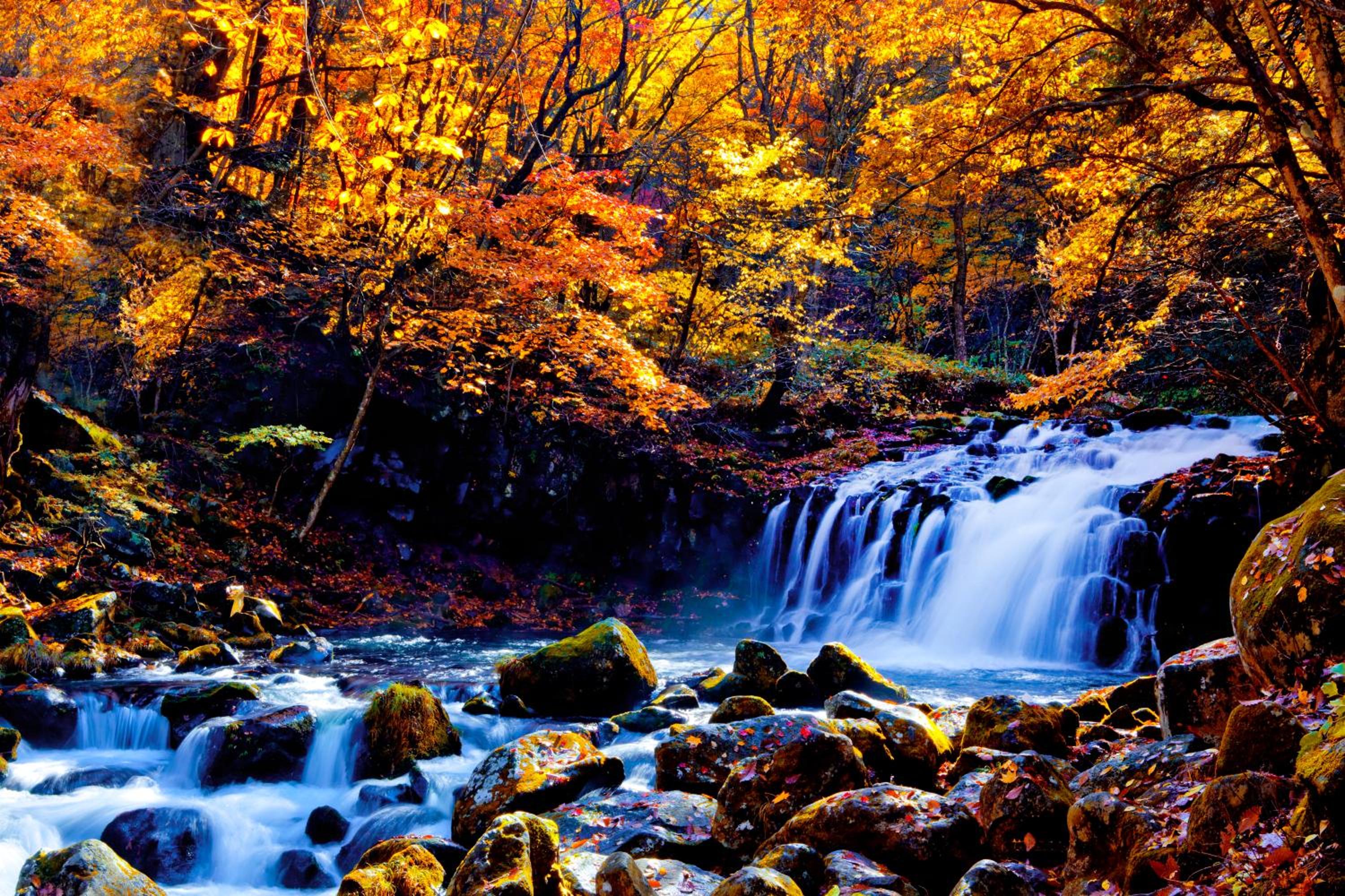 Tateshina Shinyu Onsen
