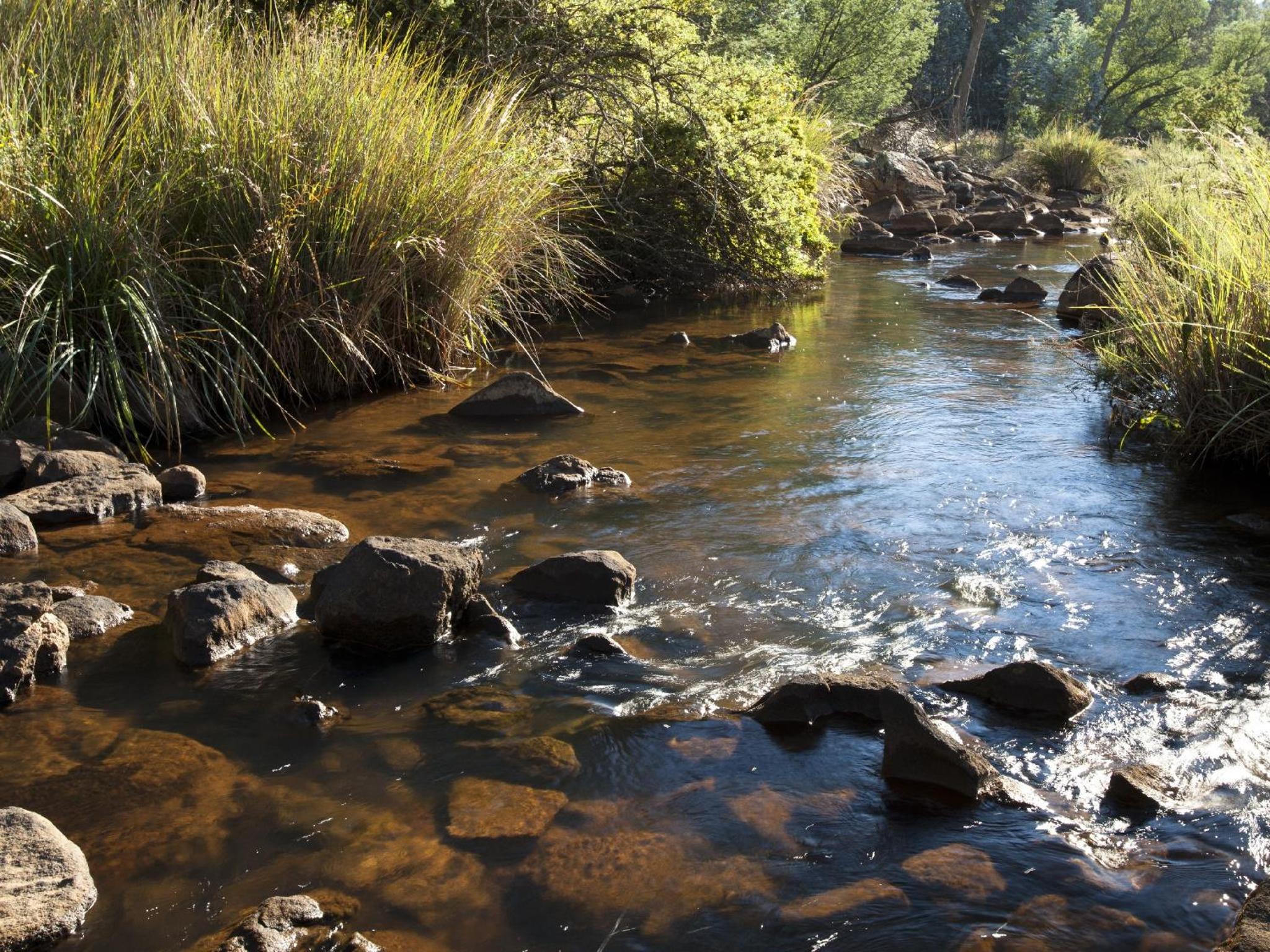 Whispering Waters view 2
