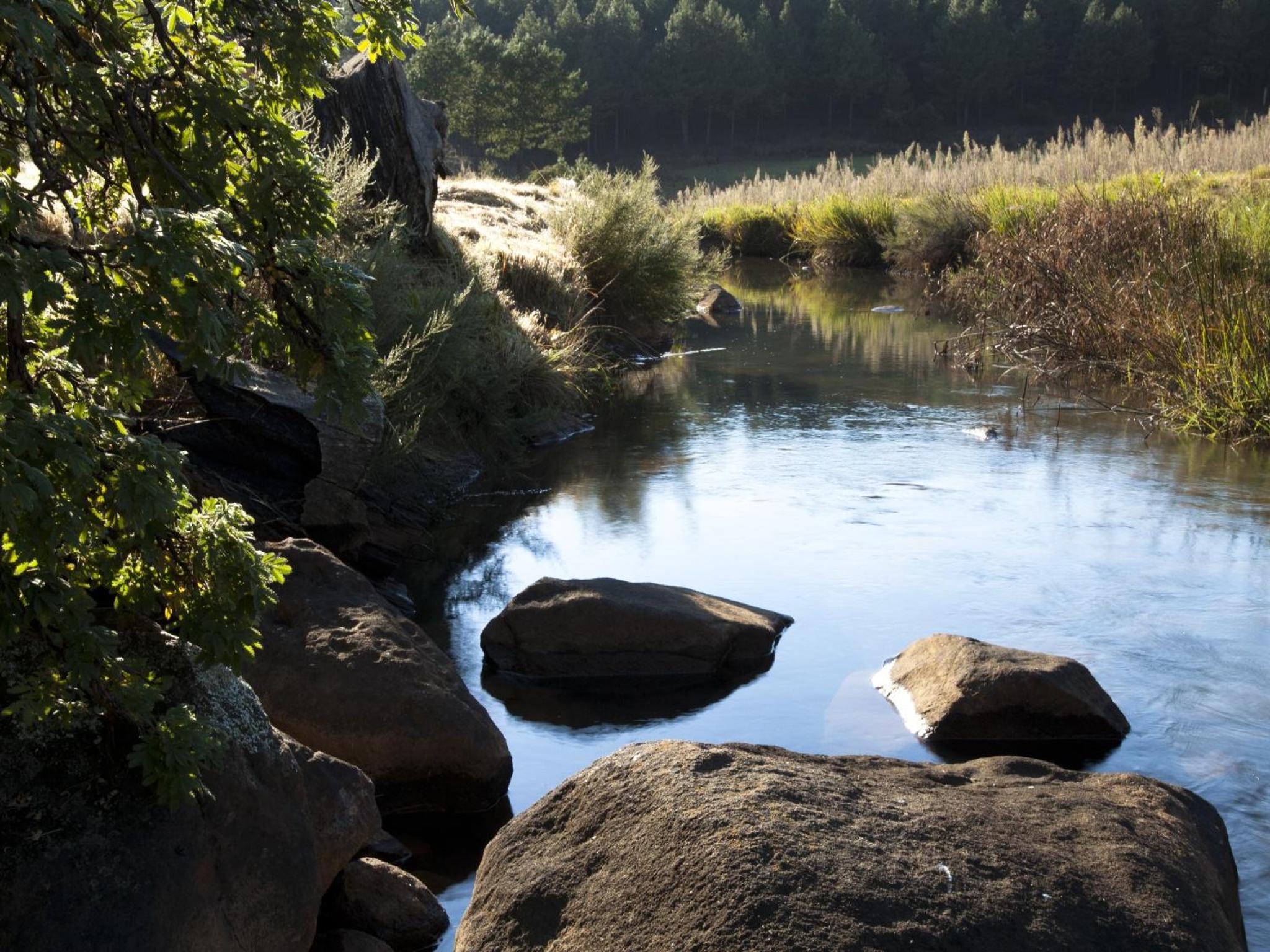 Whispering Waters view 4