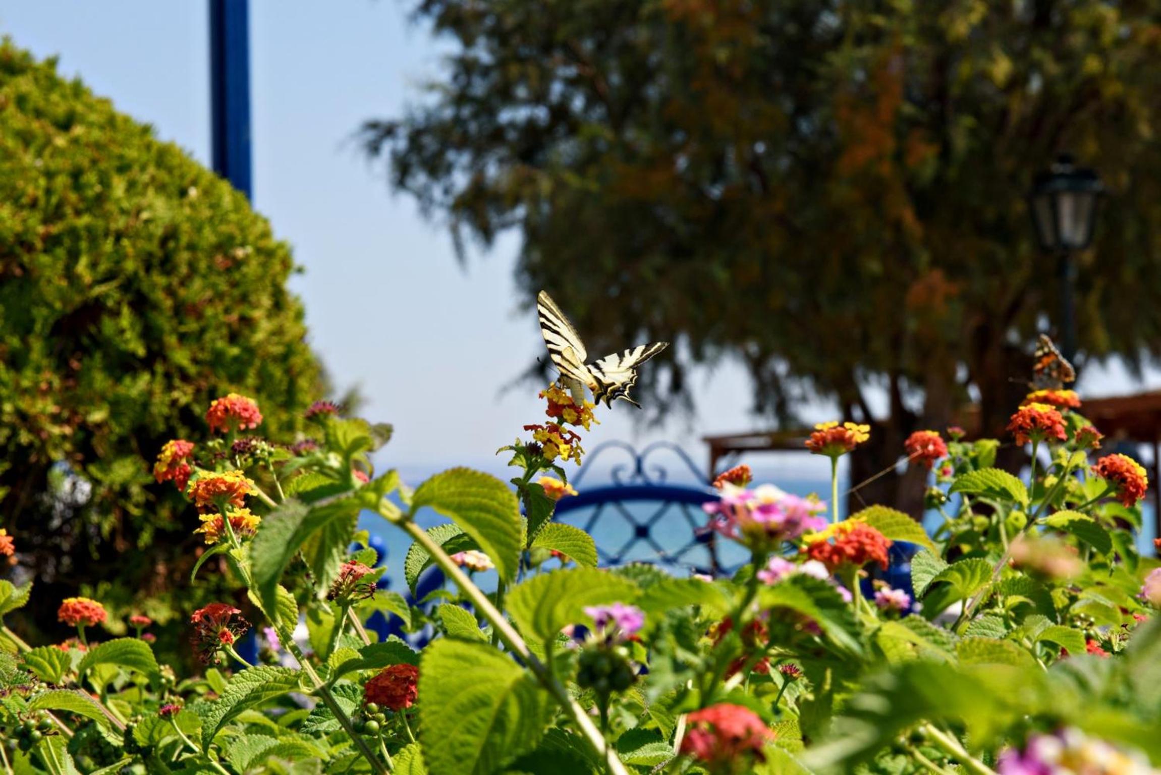 Karfas Bay View
