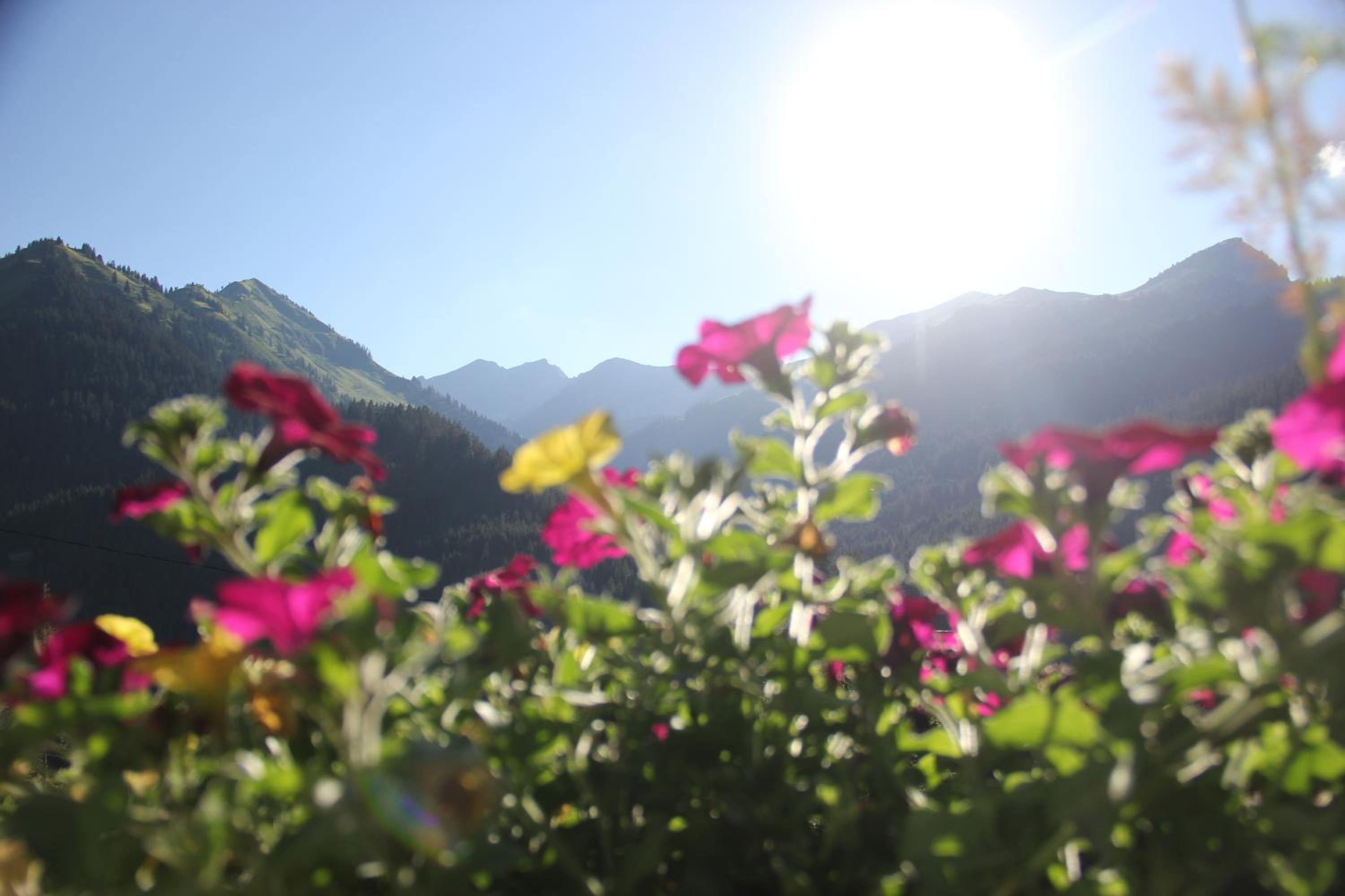 Alpenperle - ruhige Auszeit nahe Berwang mit Bergblick
