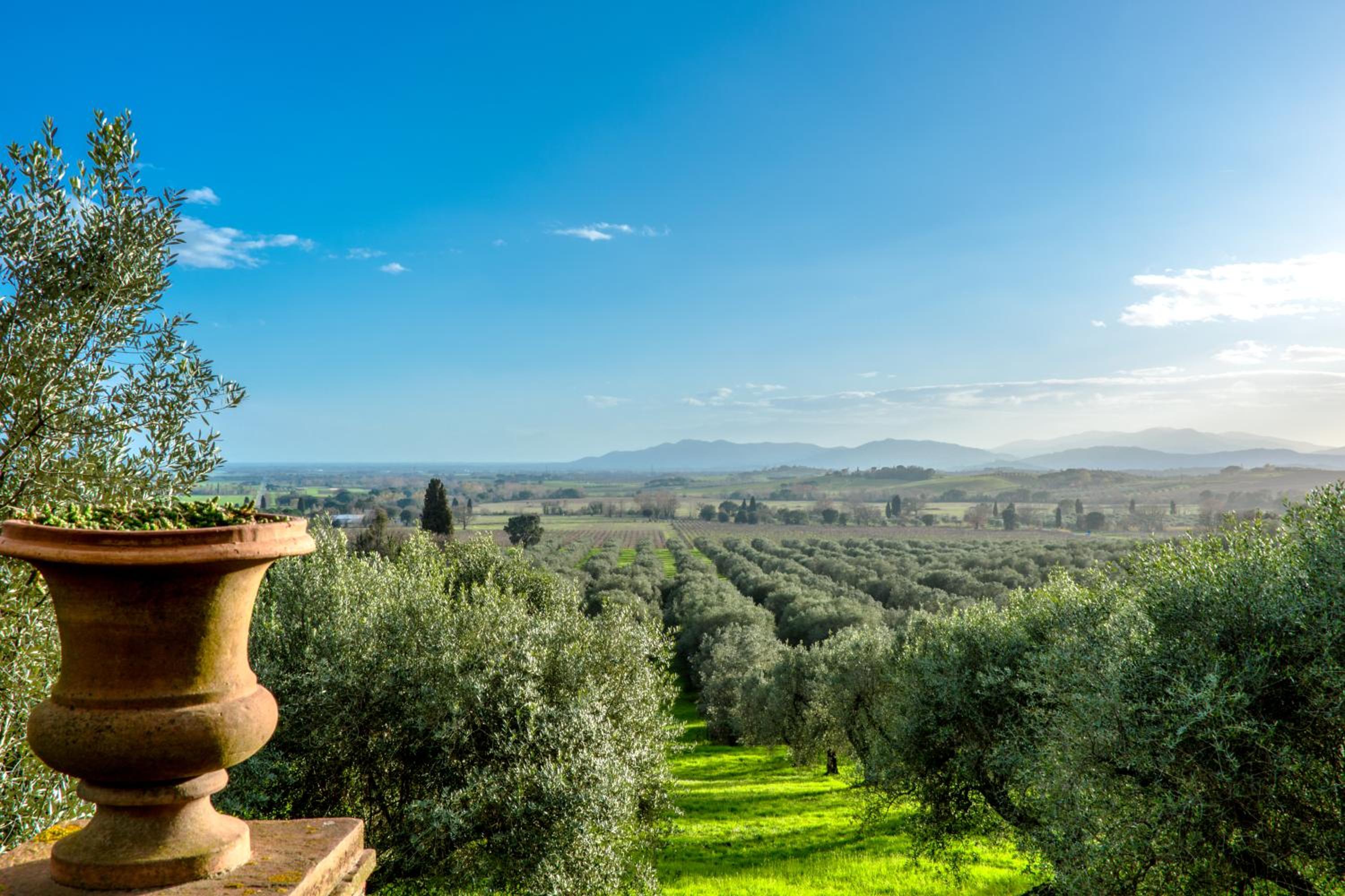 Pieve di Caminino Historic Farm