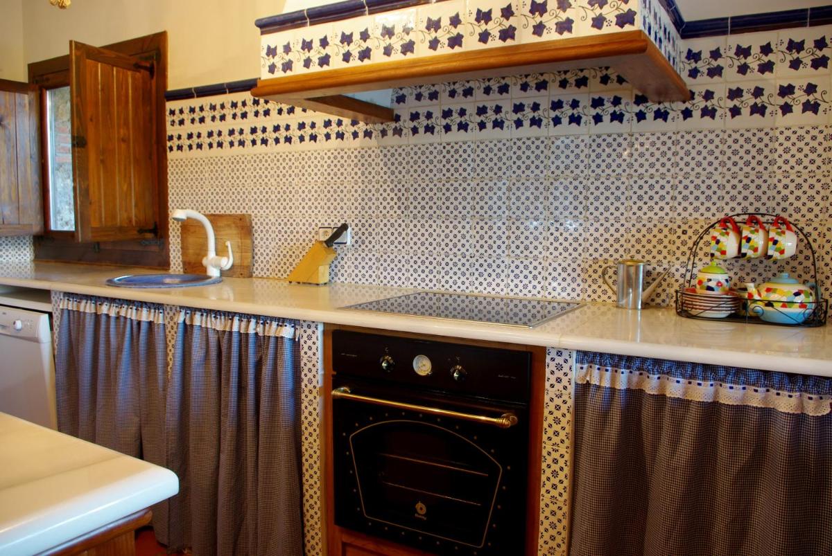 Saint Bernard photo 5