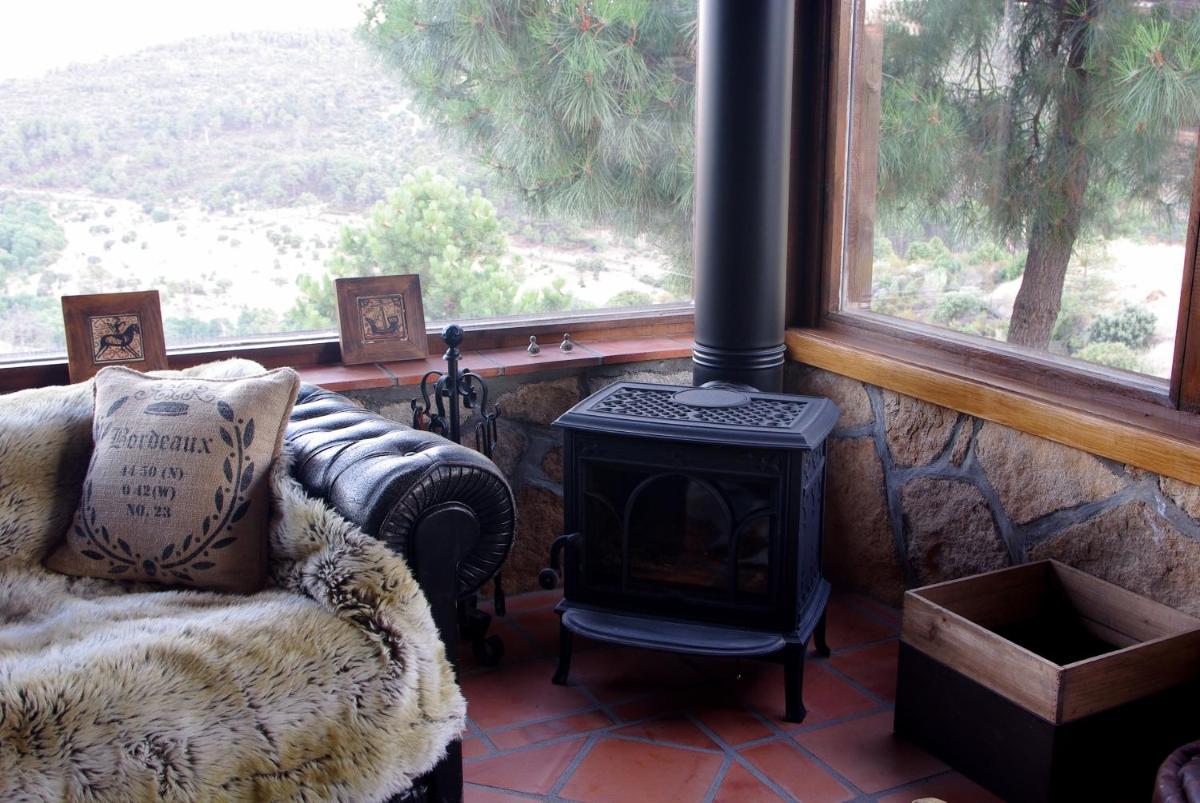 Saint Bernard photo 4