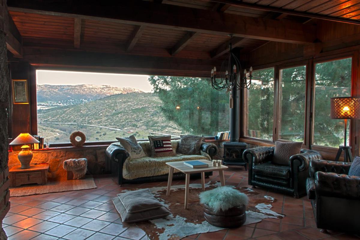 Saint Bernard photo 2