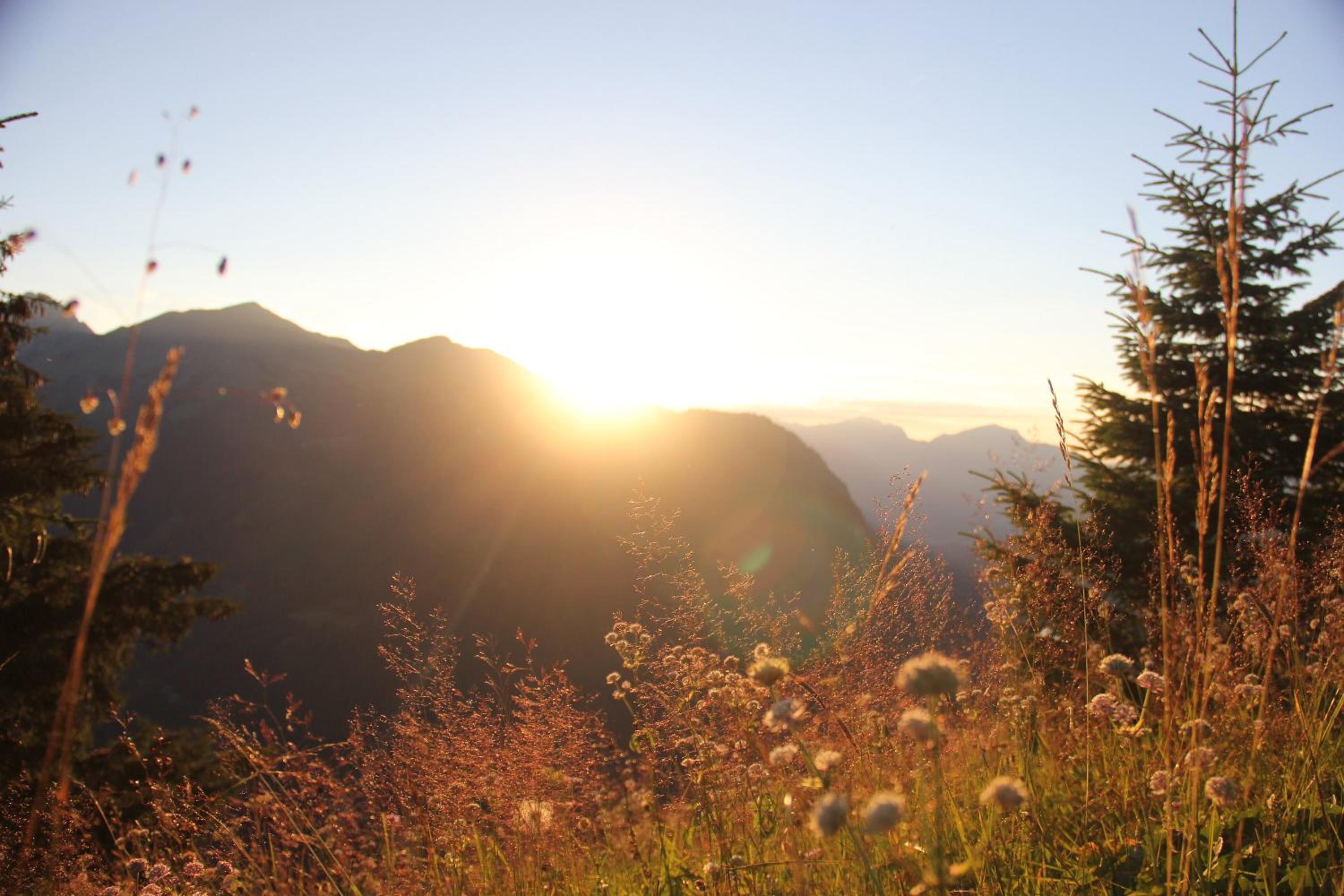 Alpenperle - ruhige Auszeit nahe Berwang mit Bergblick