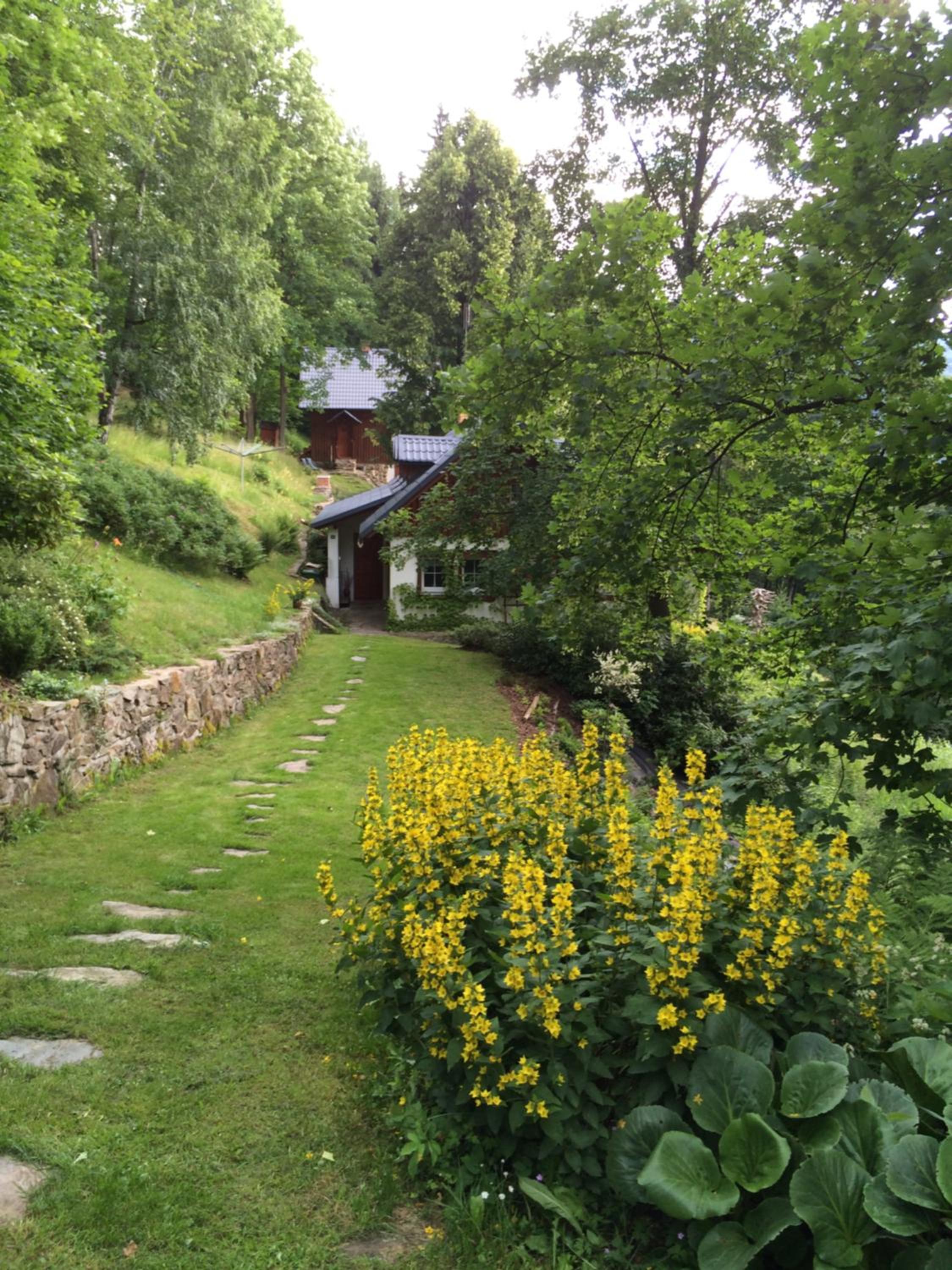 Photo 44