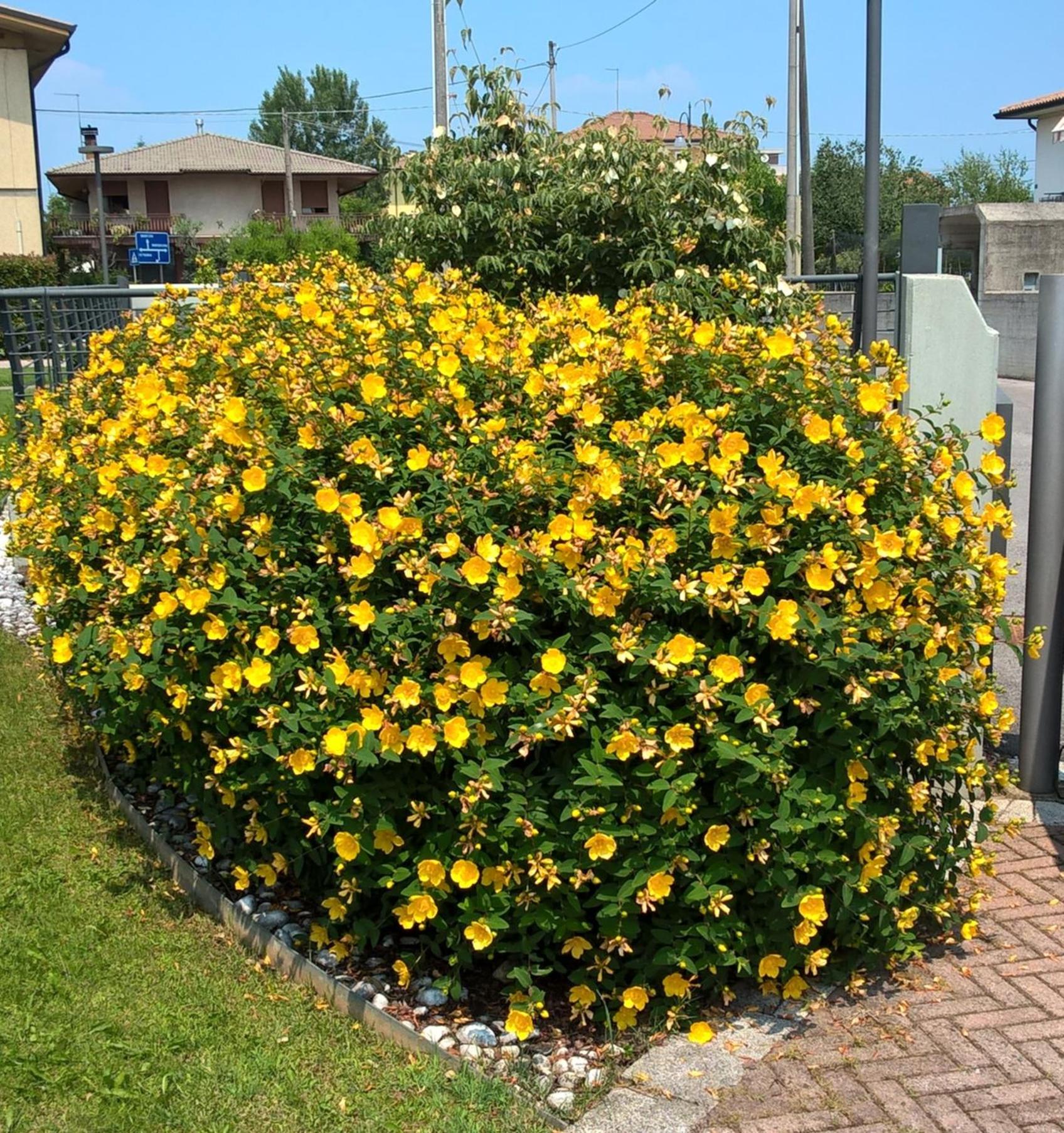 Ca degli Artisti view 5