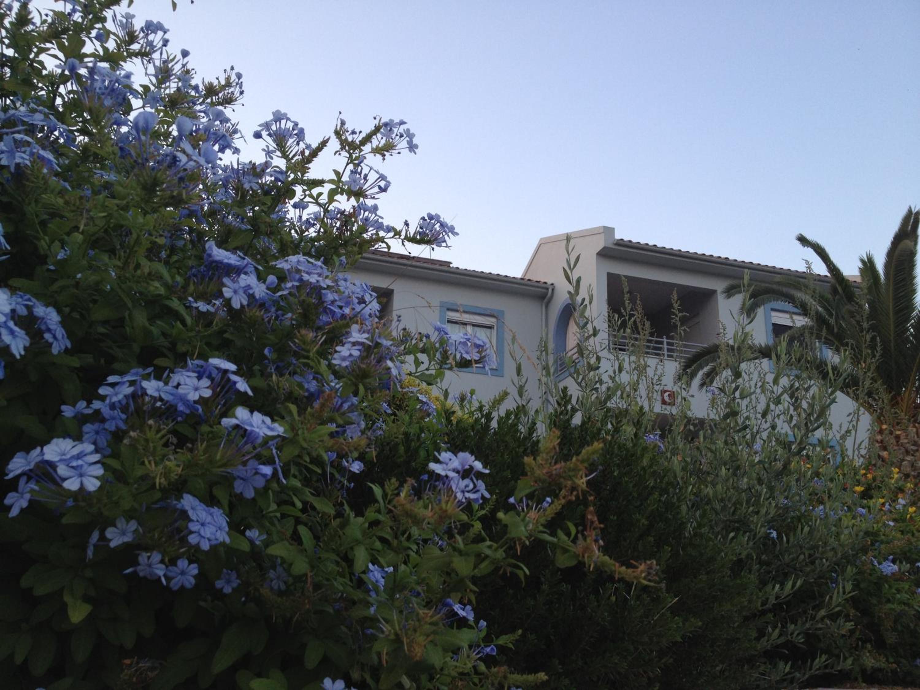 Aigli Apartments view 4