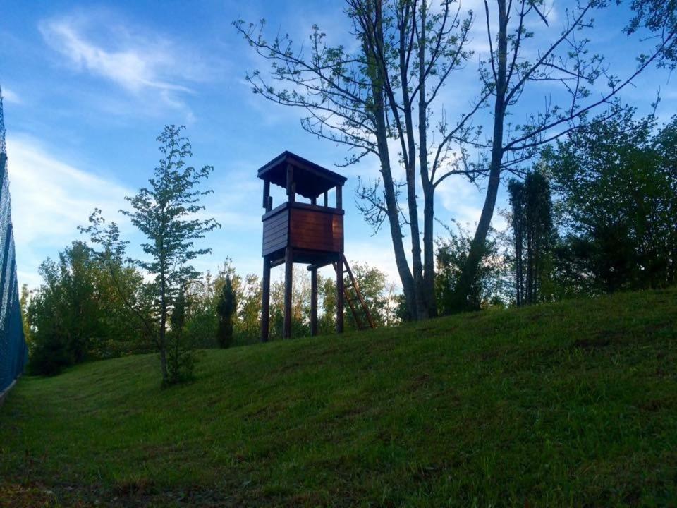 Photo 47