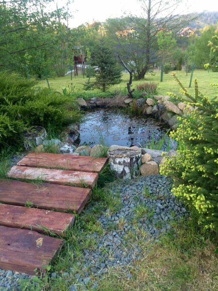 Photo 48