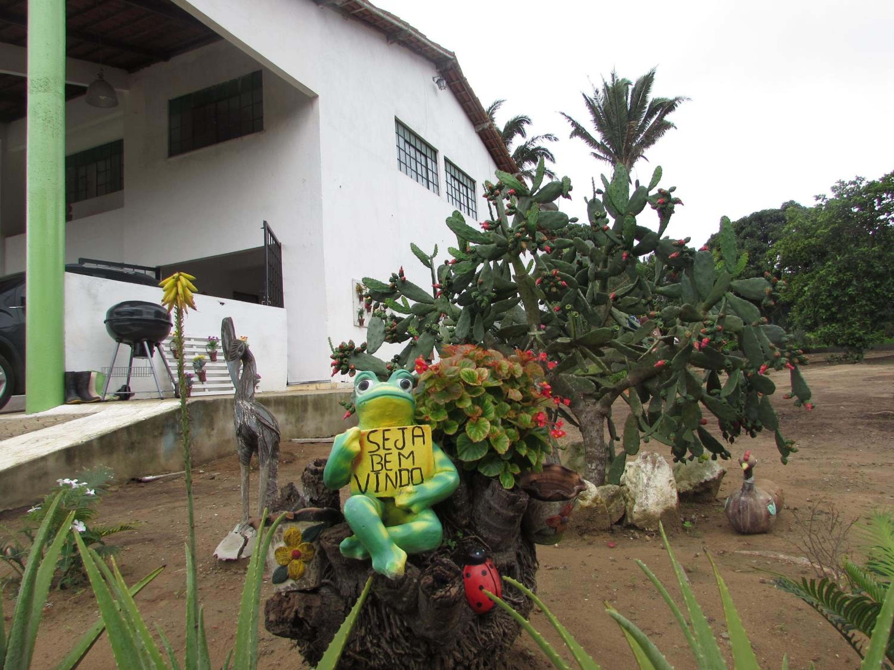 Photo 52