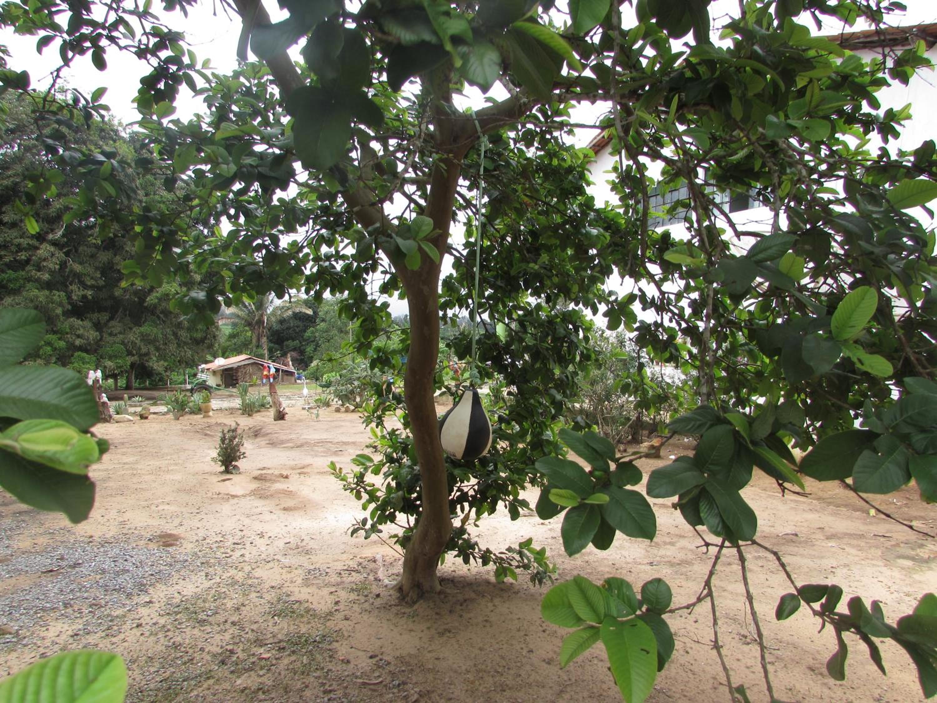 Photo 41