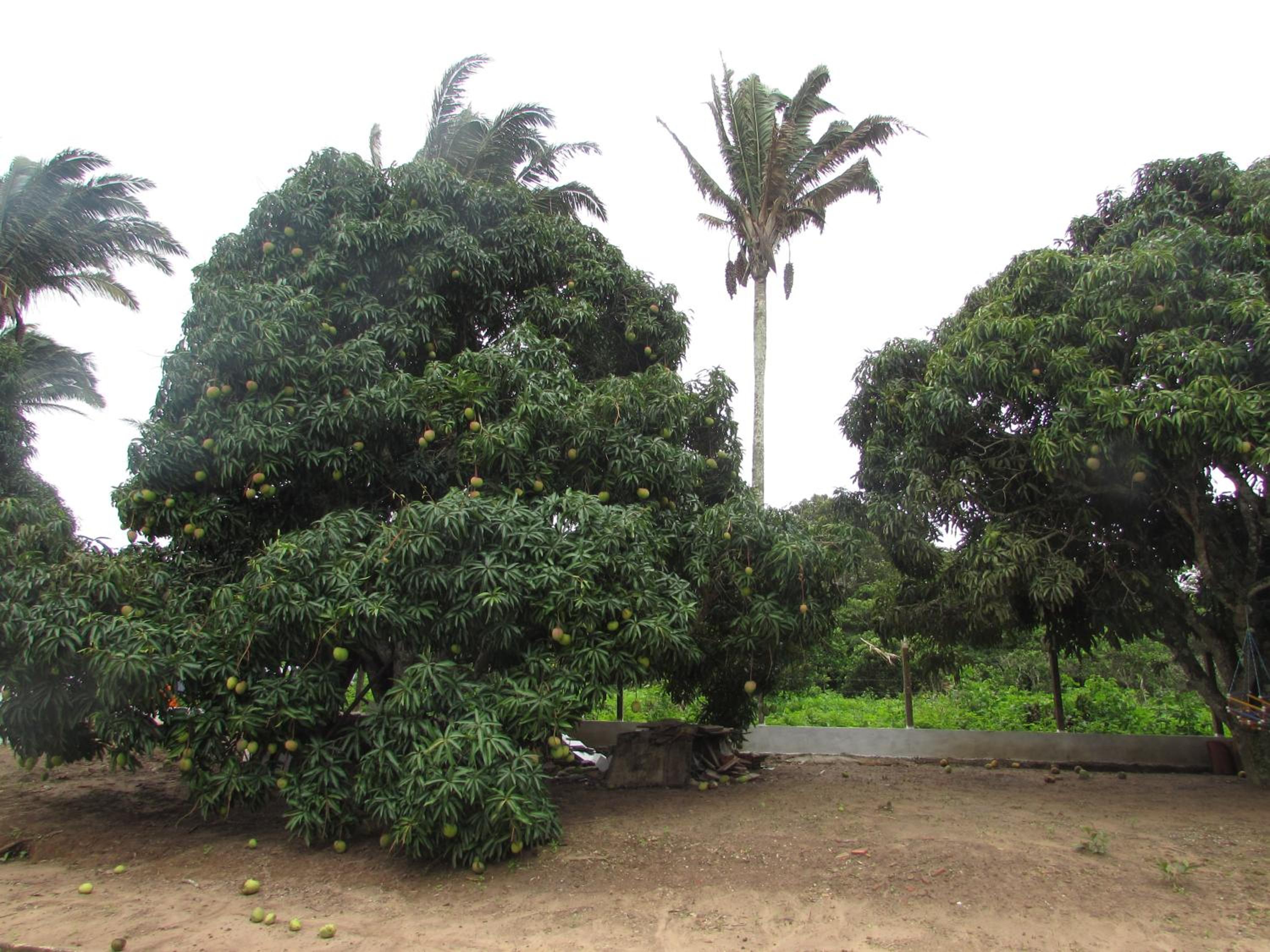 Photo 40