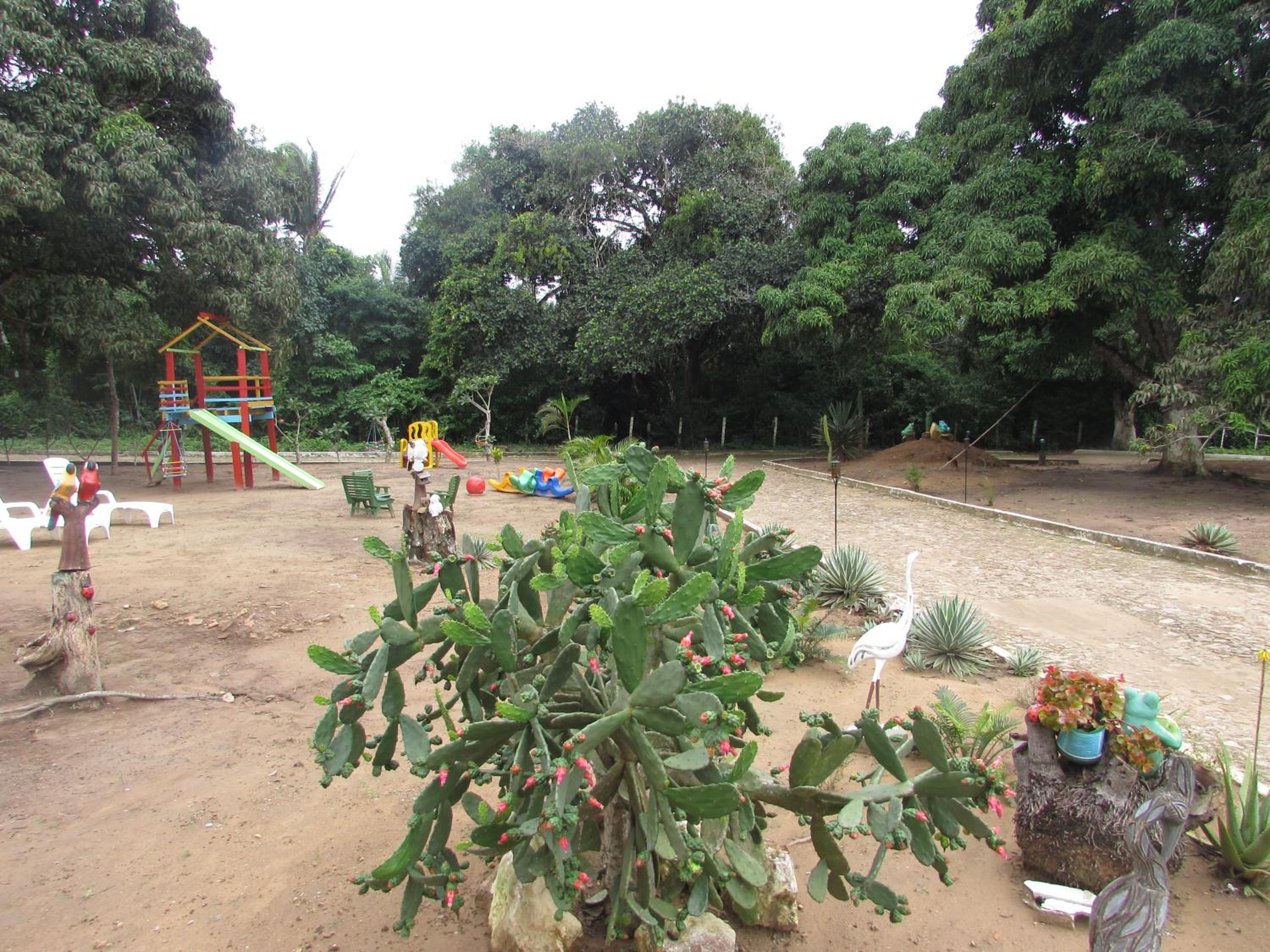 Photo 36