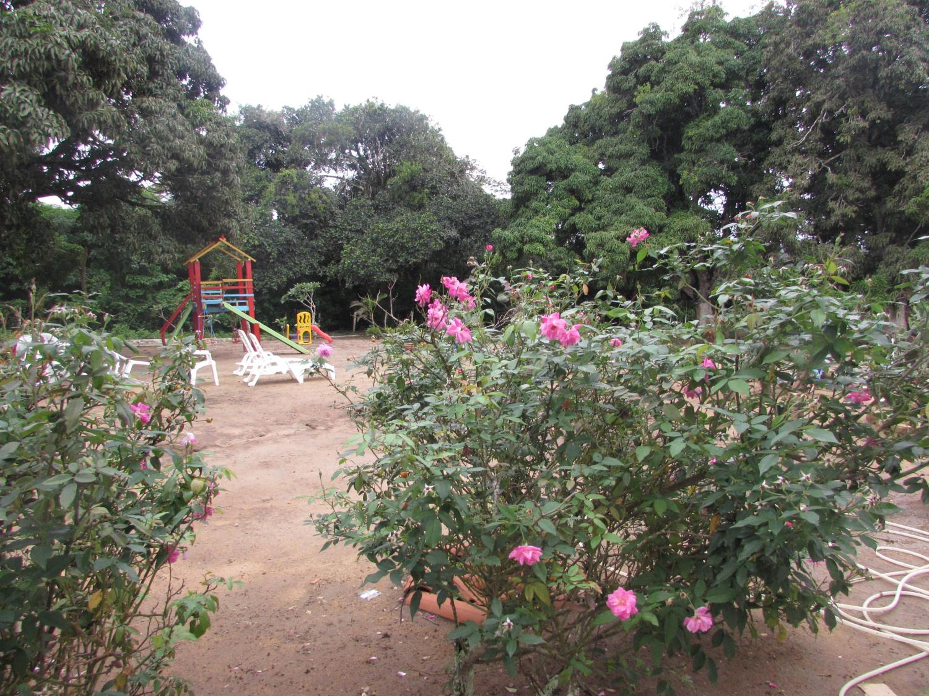 Photo 35
