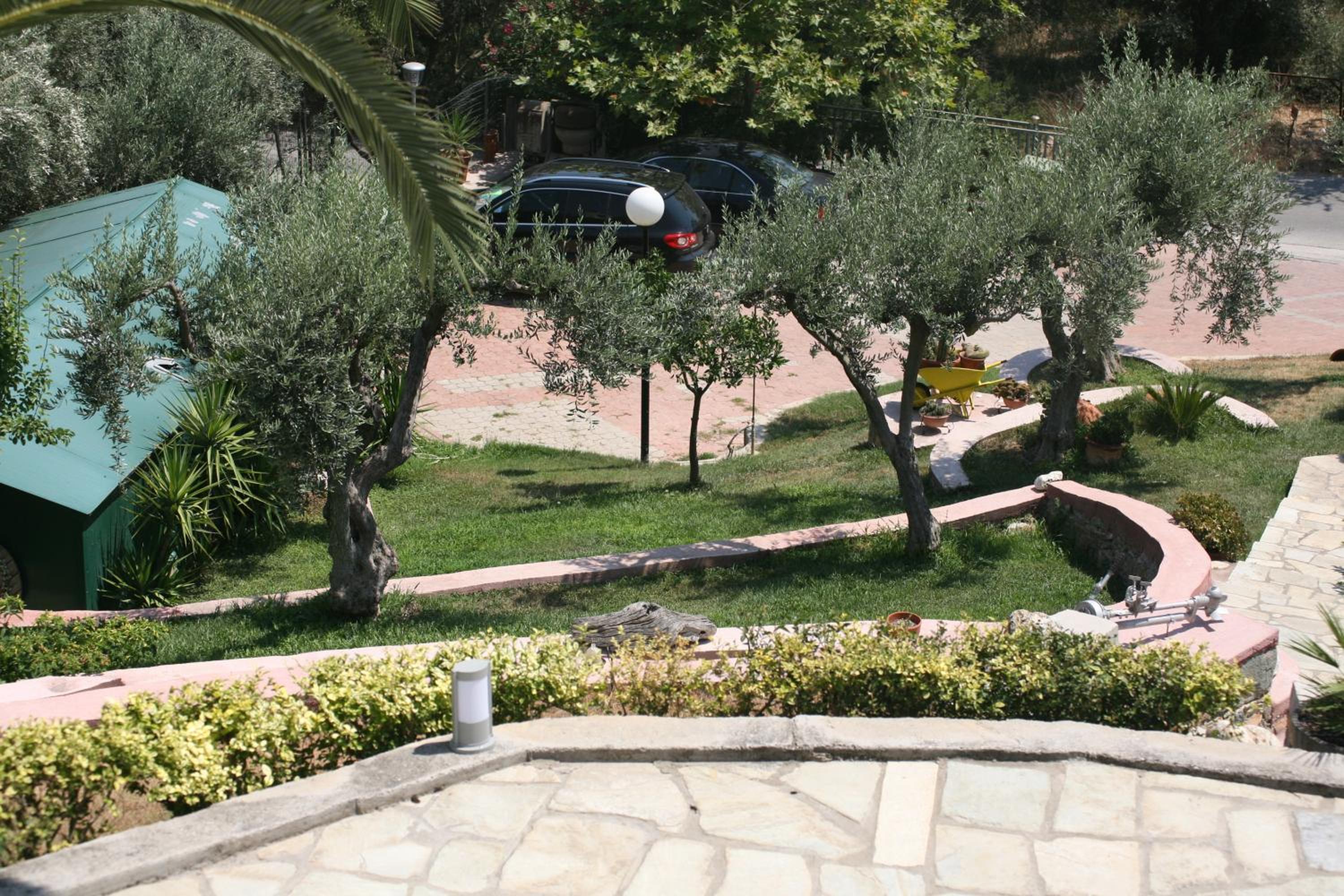 Photo 26