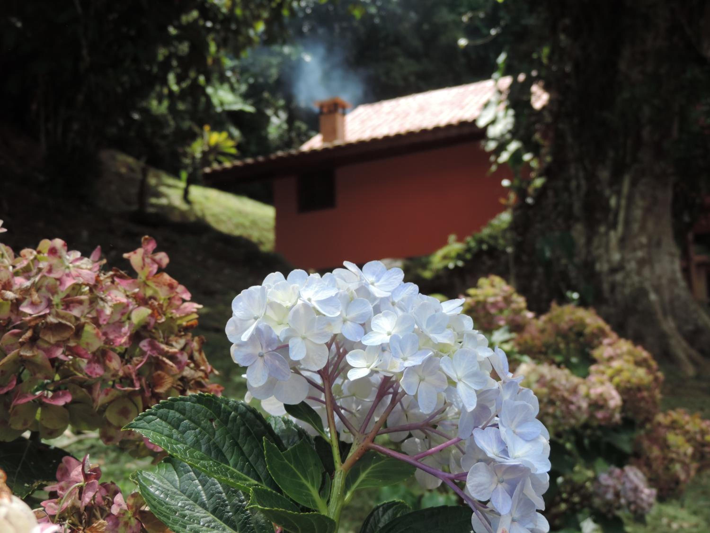 Chalé Truta da Floresta