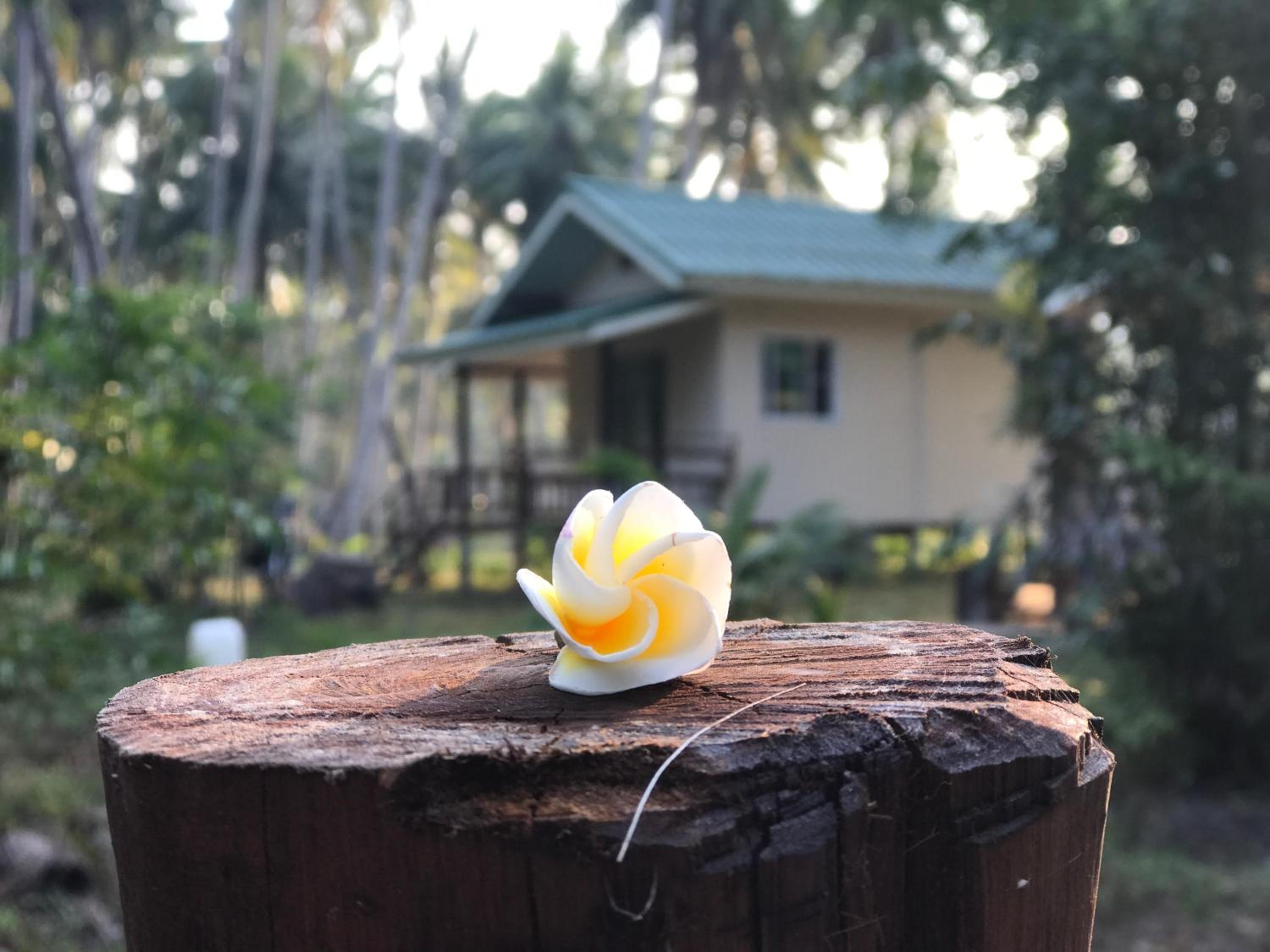 Baan Phuean Koh Kood