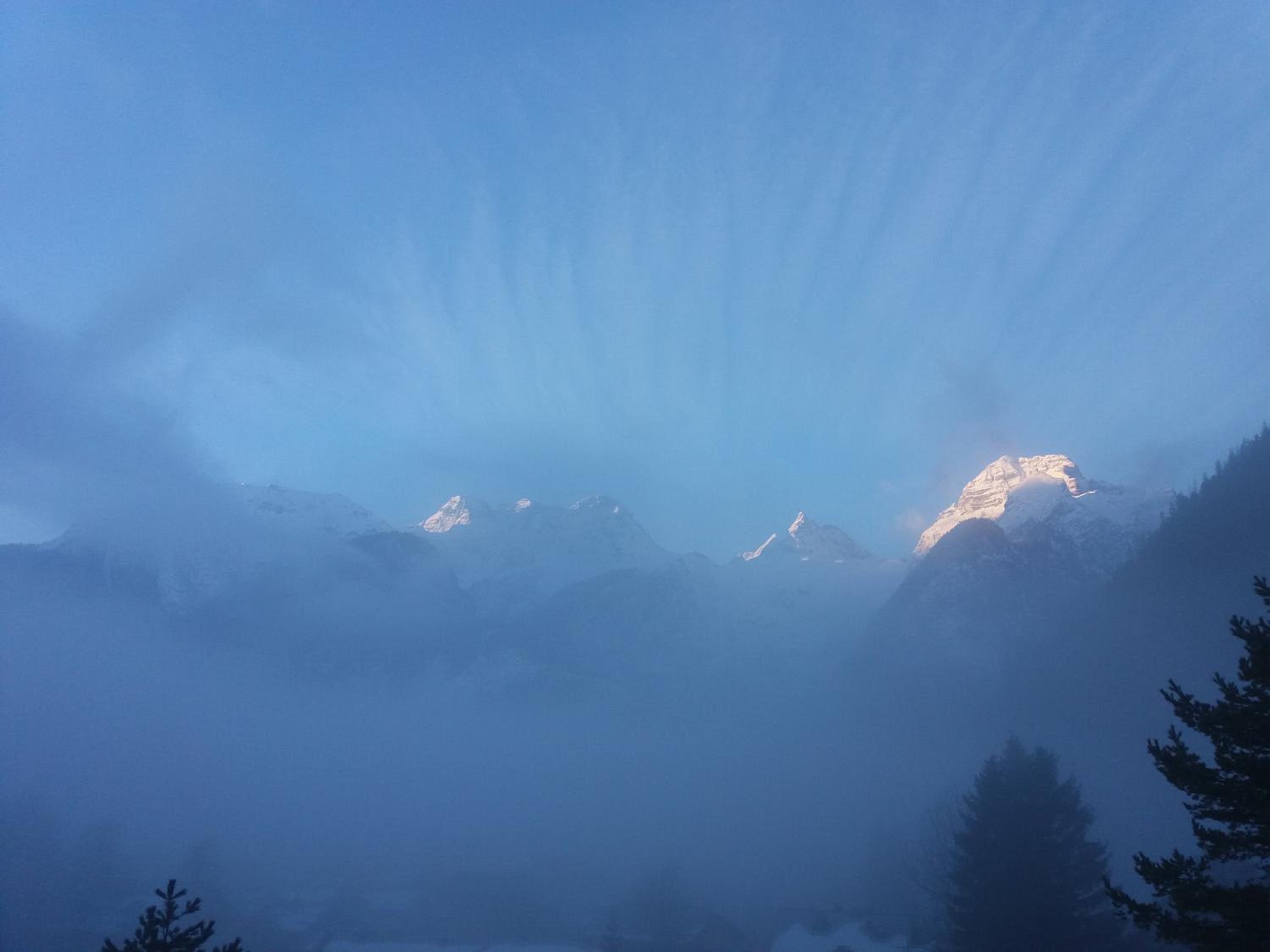 Das Prinzis view 5
